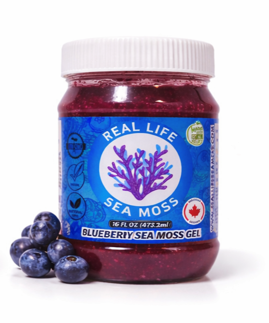 Blueberry Sea Moss Gel