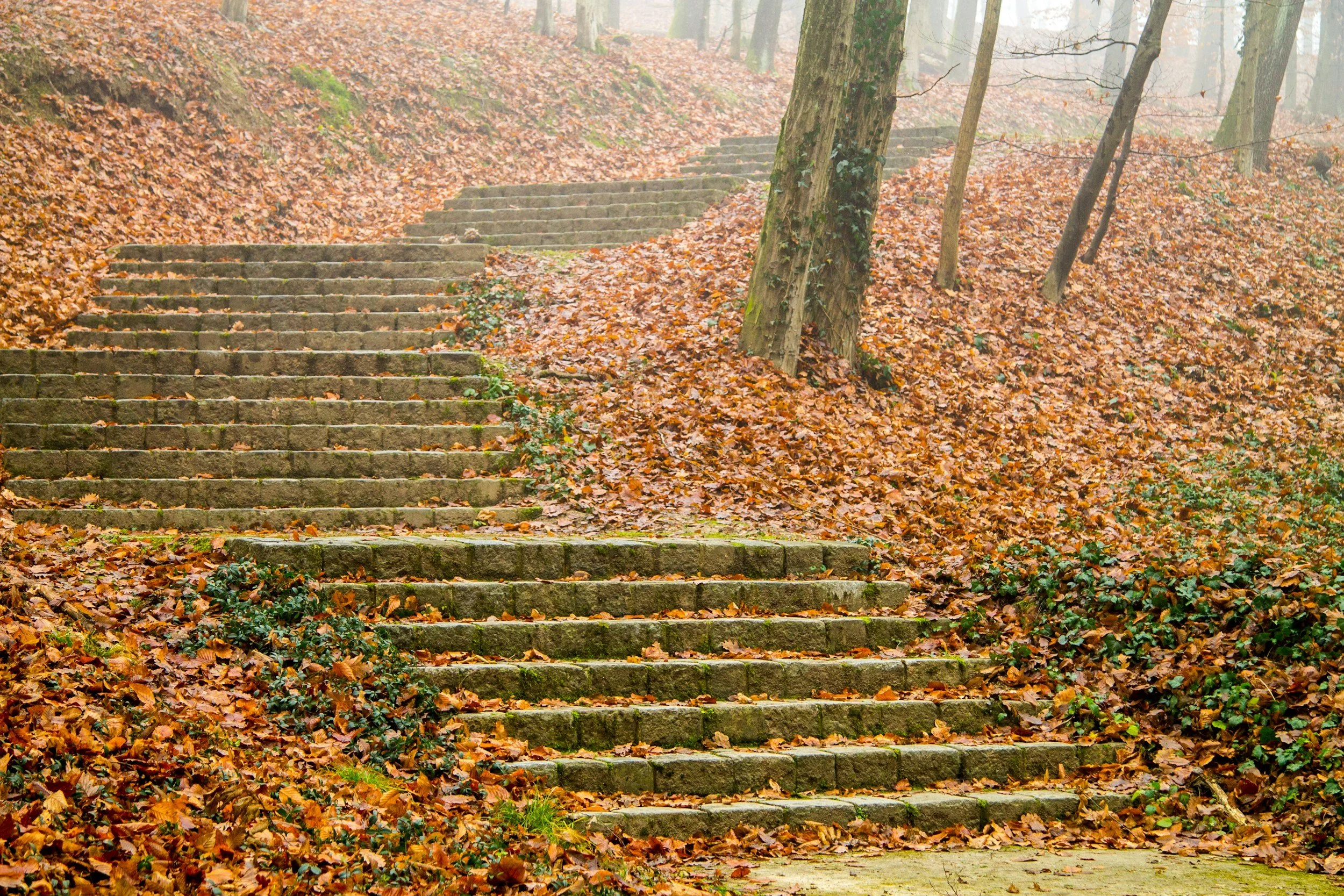 Fresh Fall Air: The Workout You Didn’t Know You Needed