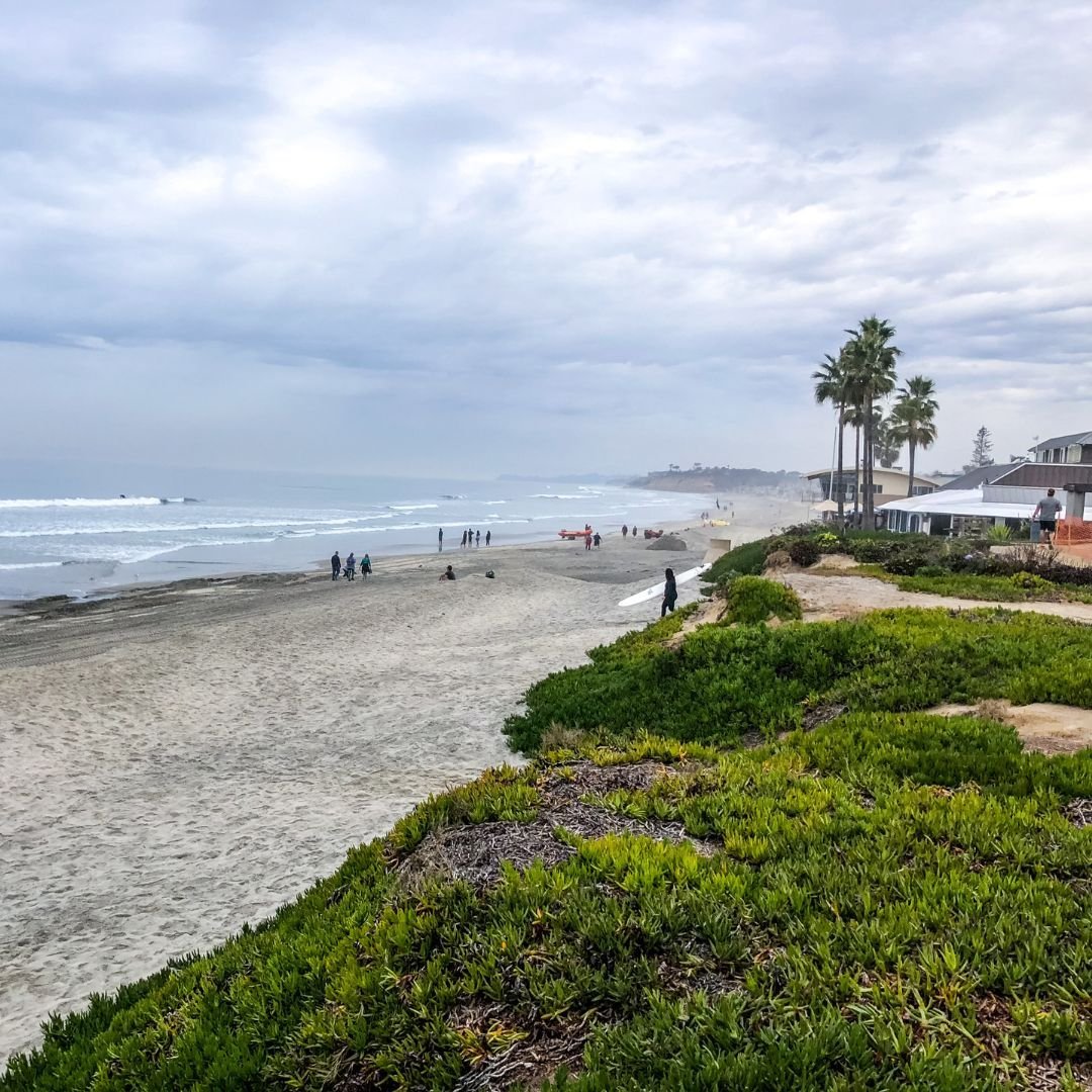 Our seniors have been walking all over Del Mar! What are some of your favorite nature spots in our beautiful city?  #delmar #walk #beautifulcity #seniors #nature_lovers #stpetersdelmar