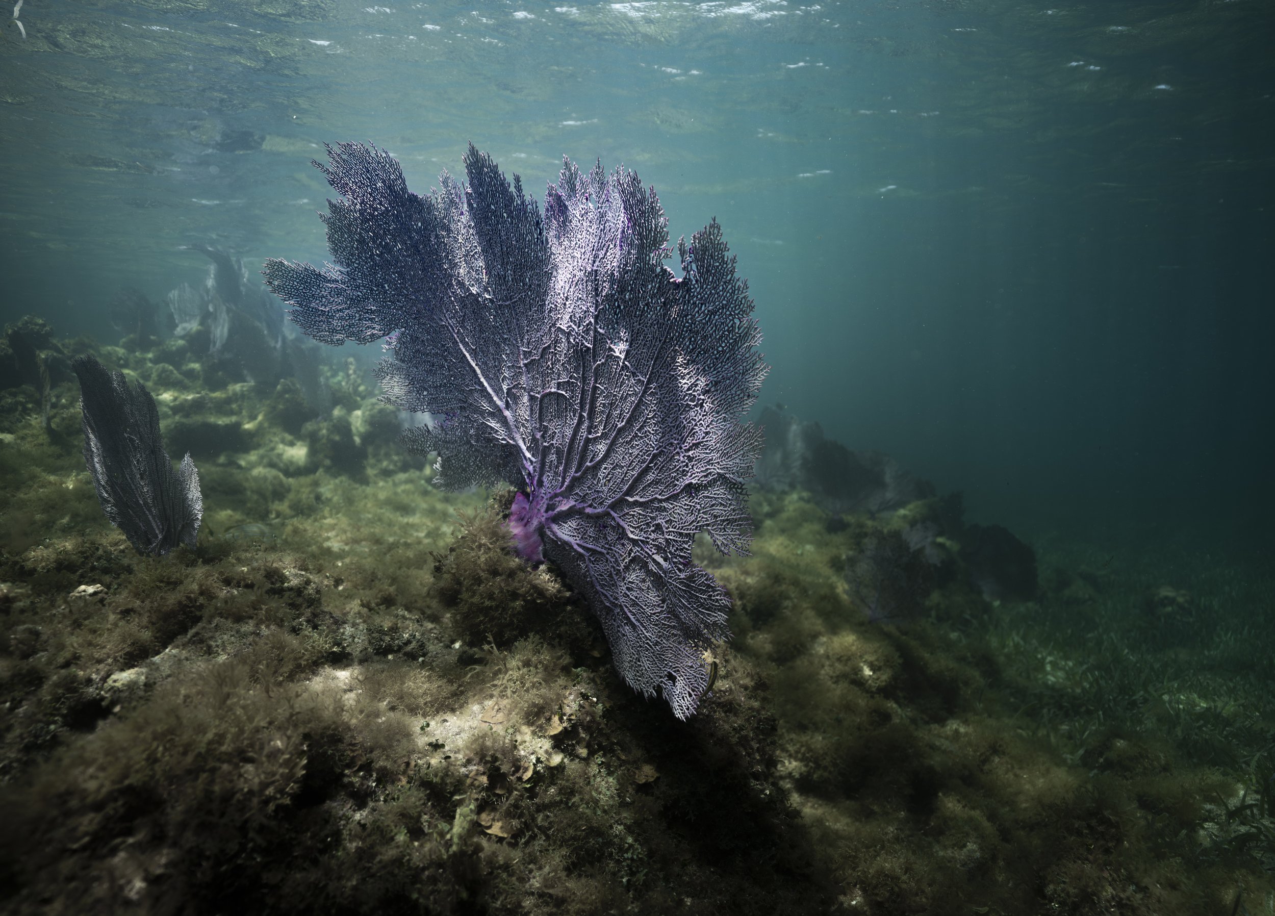 lake powell_ssmolla-16.jpg