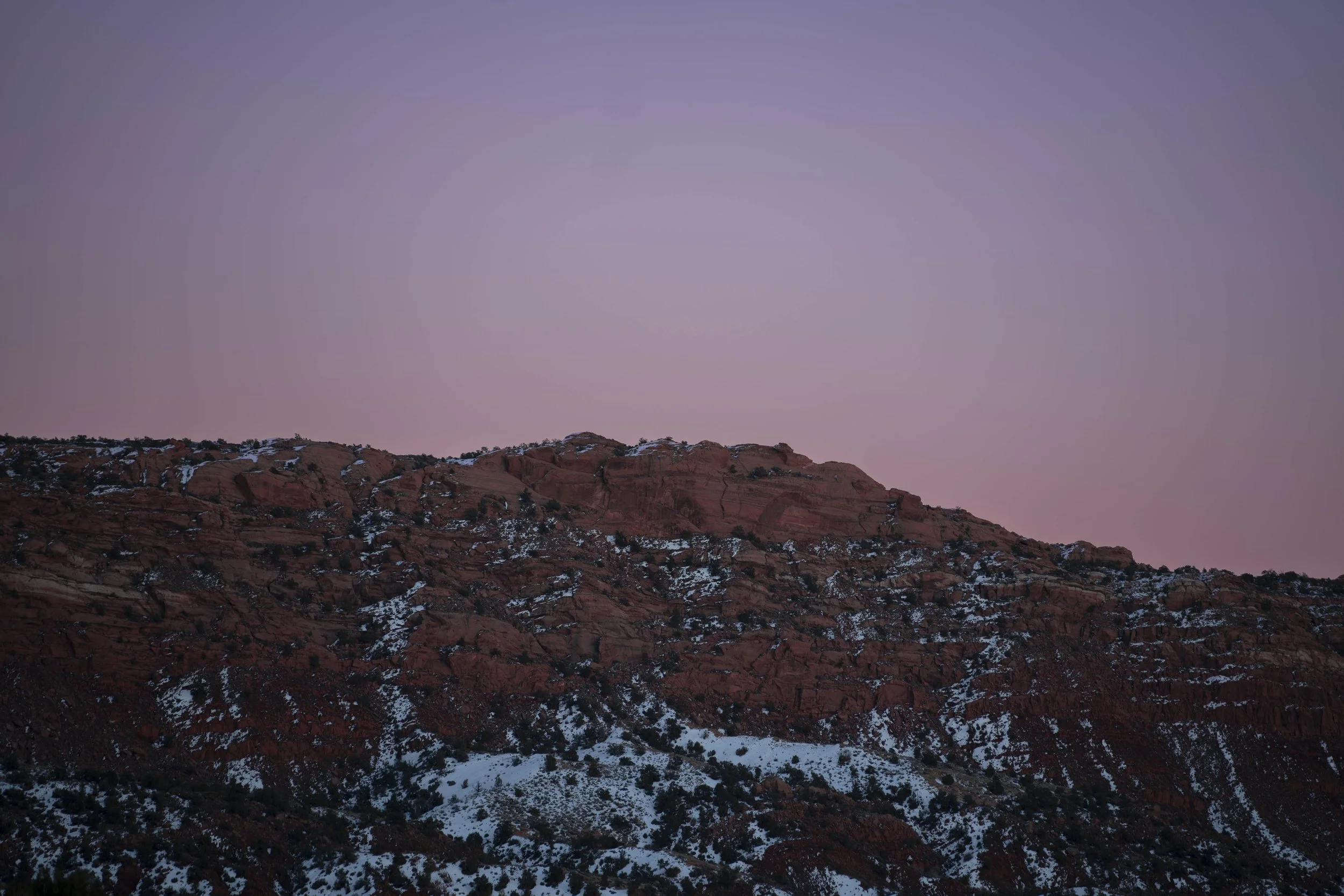 _DSC0699.jpg