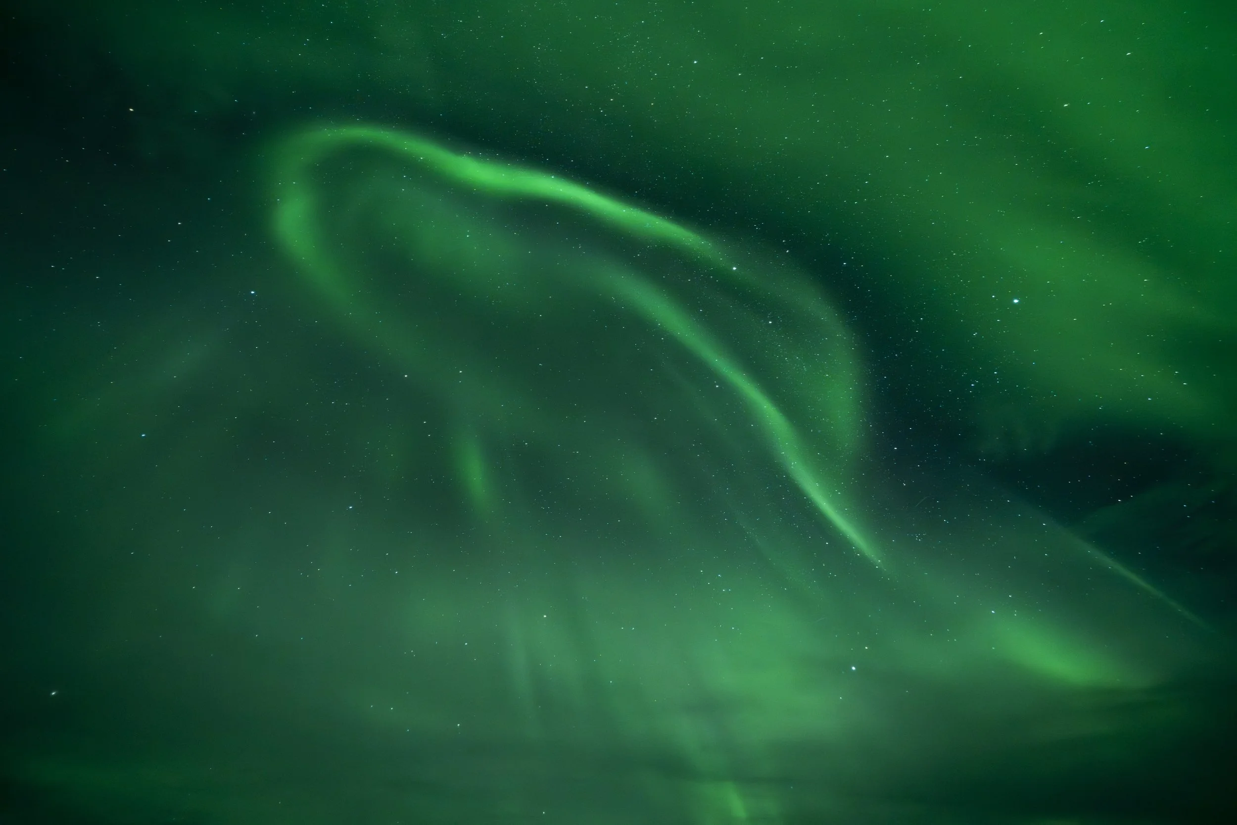 Whimsical Whale Aurora.jpg