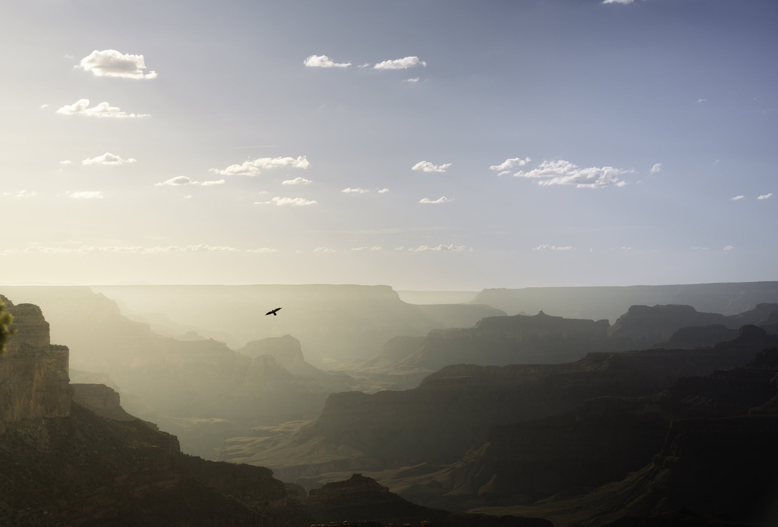 Grand Canyon.jpg
