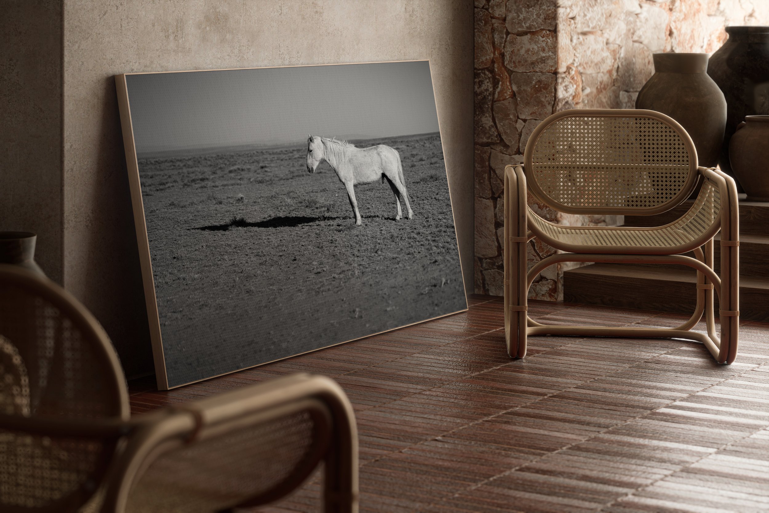 Horse in the desert.jpg