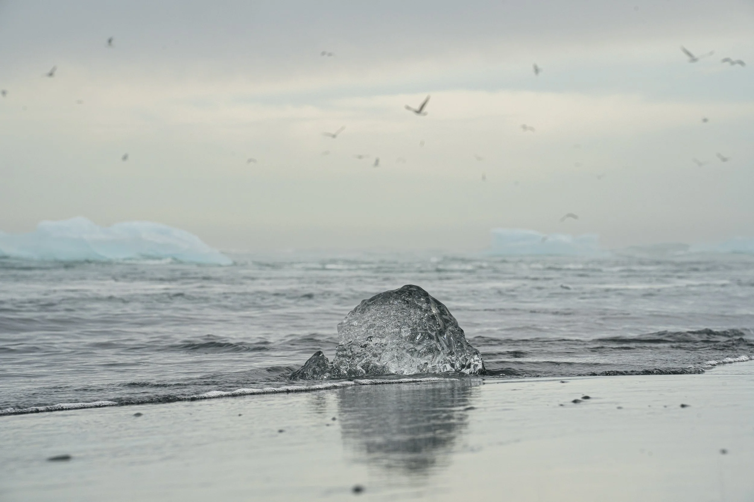 Floating Ice in Iceland.jpg