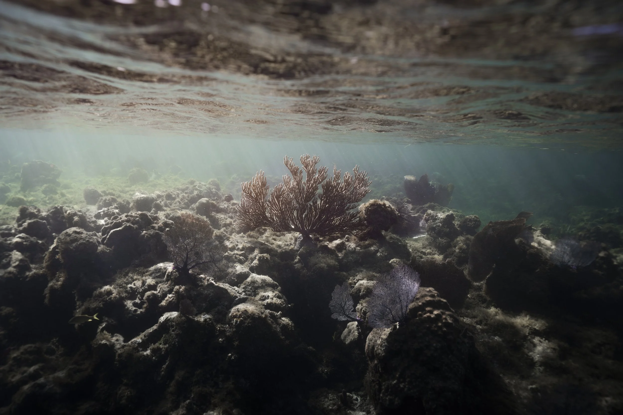 lake powell_ssmolla-27.jpg