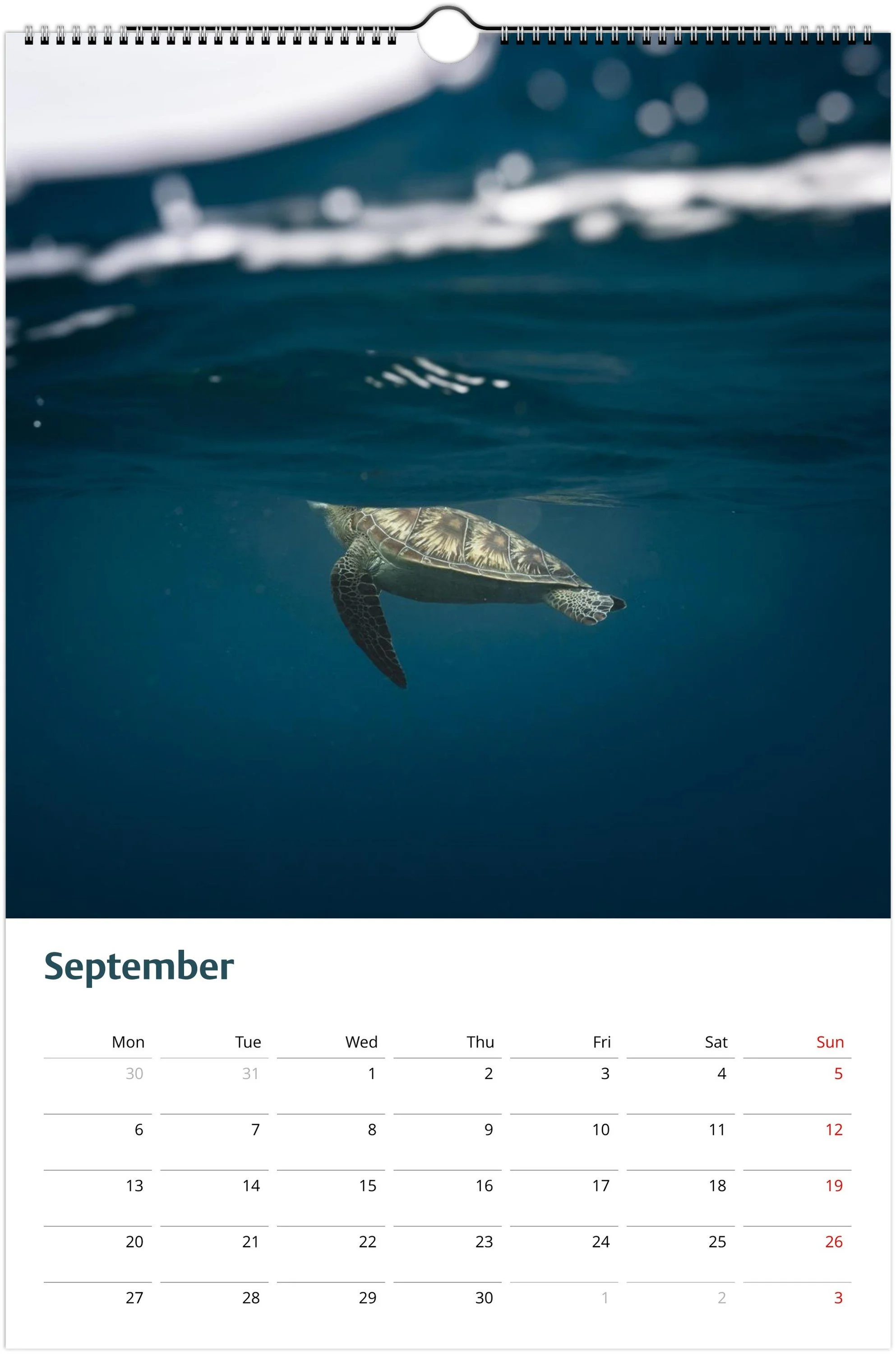 month-9.jpeg