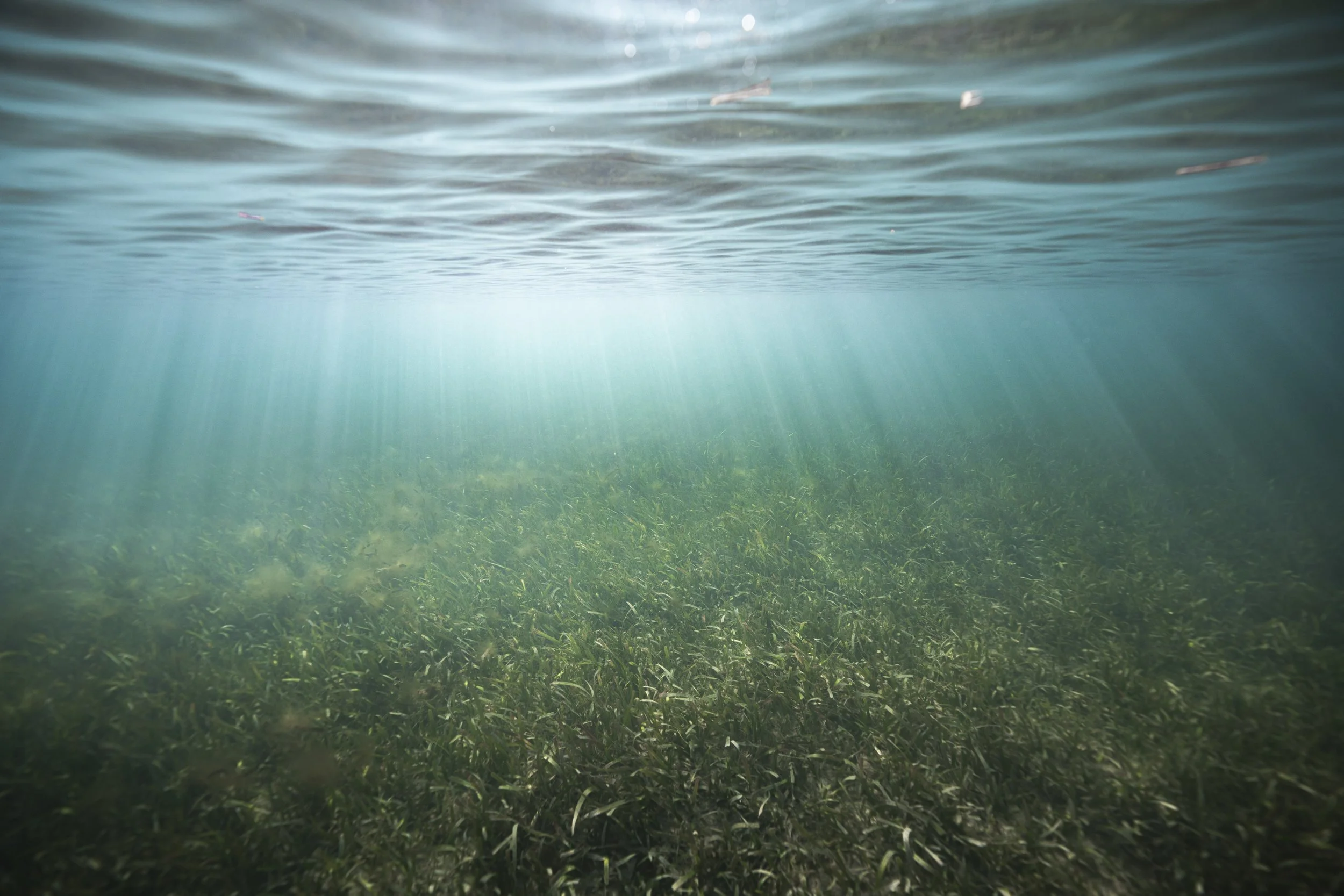 lake powell_ssmolla-7.jpg