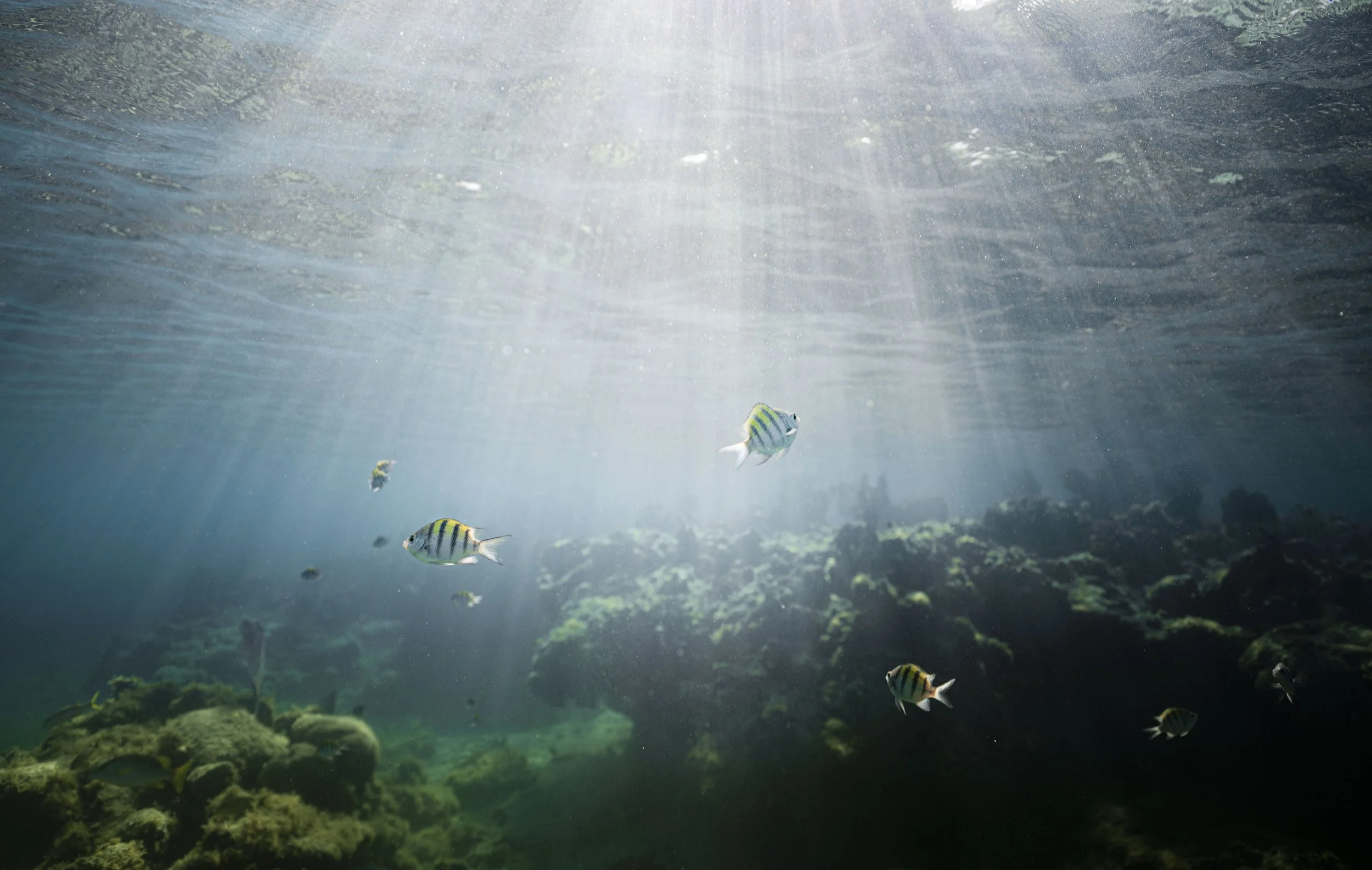 lake powell_ssmolla-2.jpg