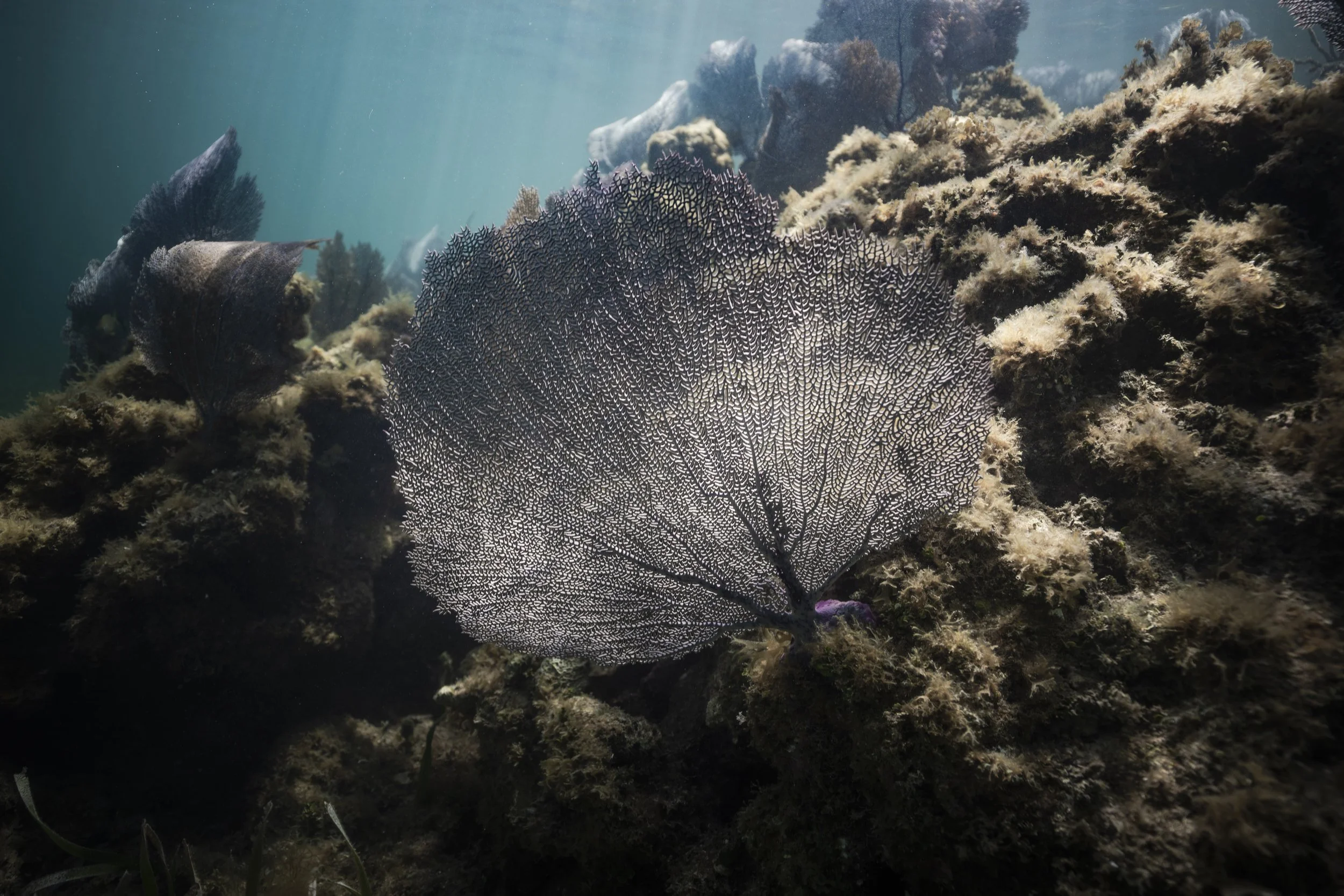 lake powell_ssmolla-18.jpg