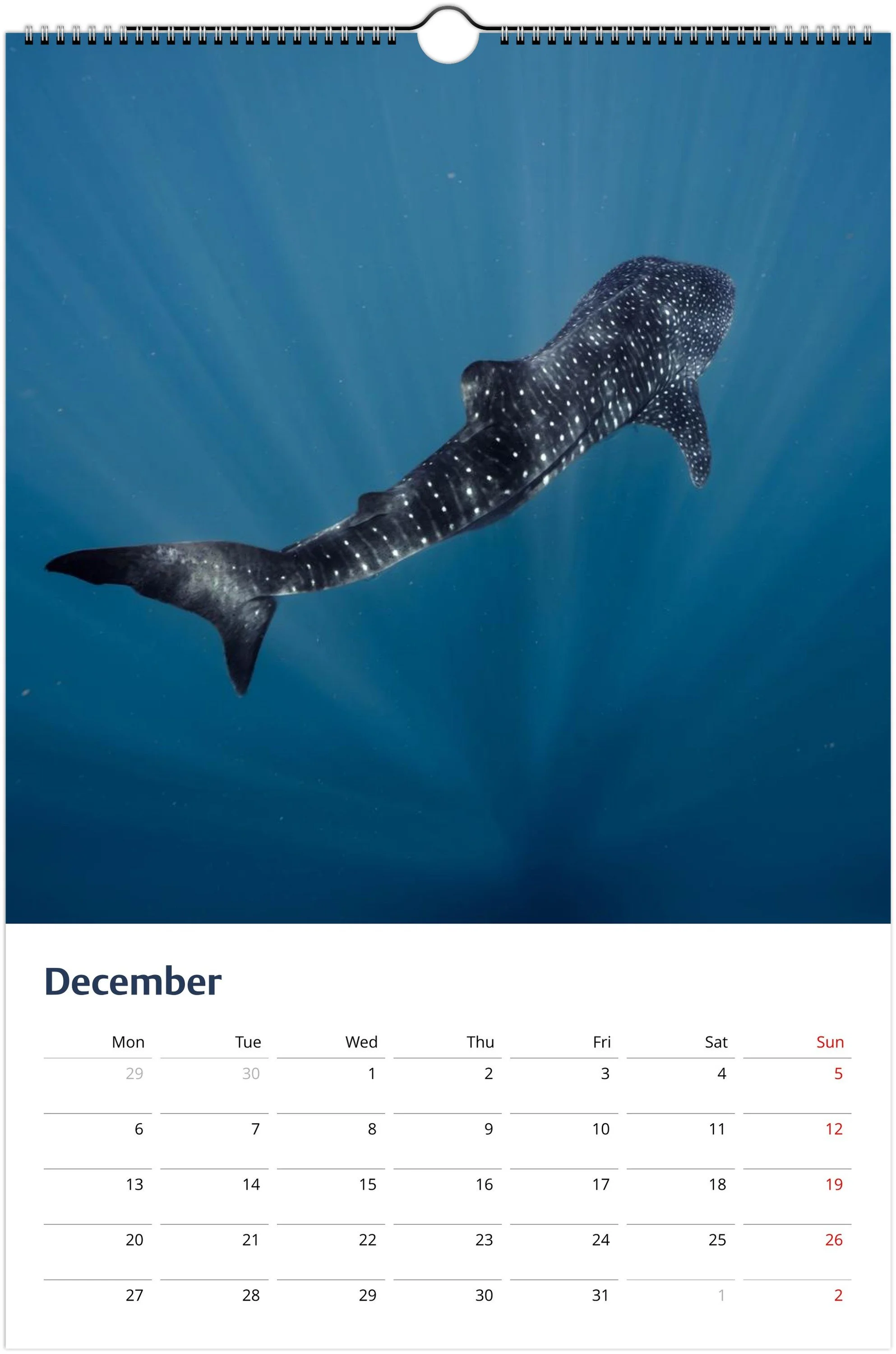 month-12.jpeg