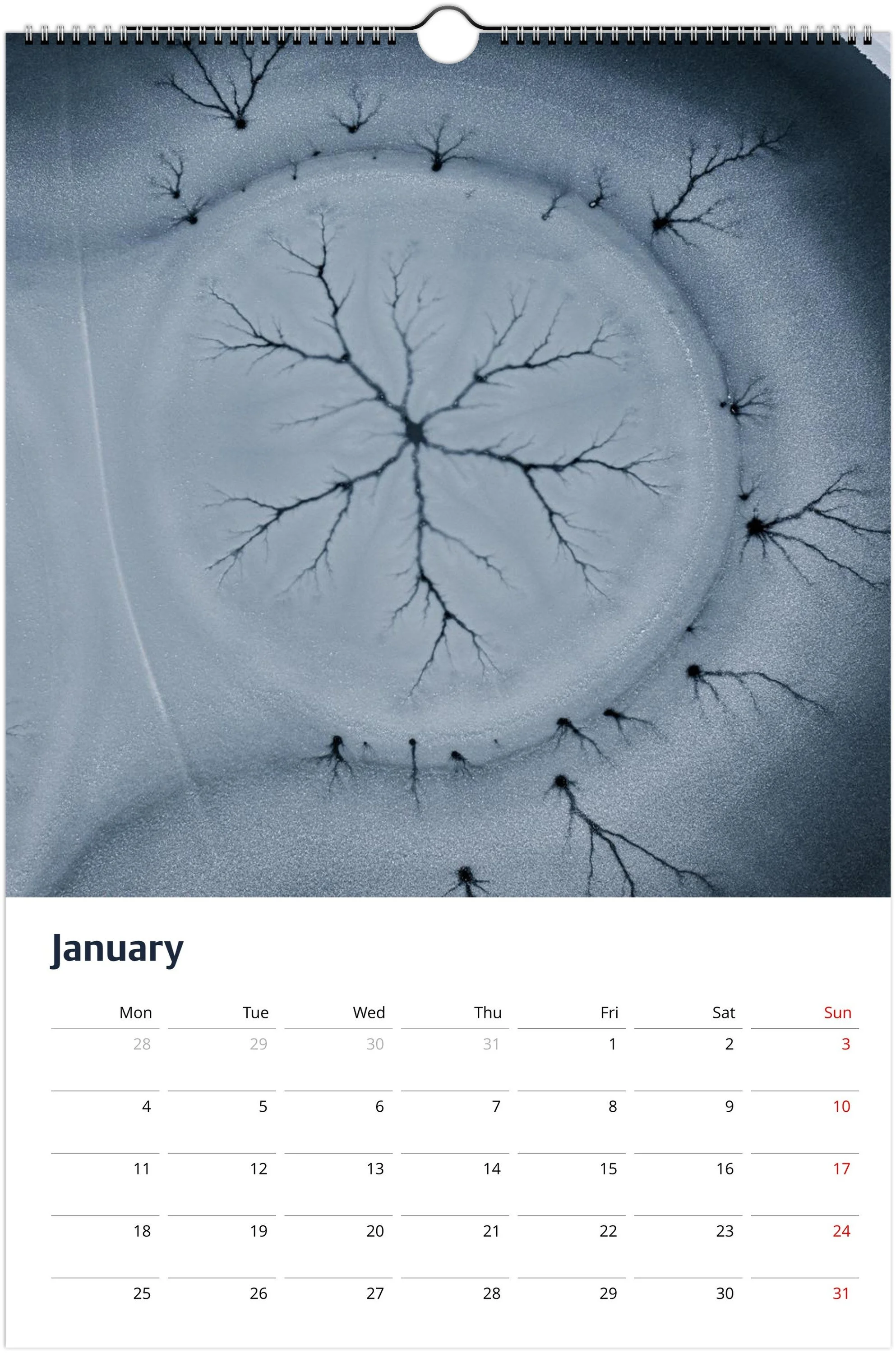 month-1.jpeg