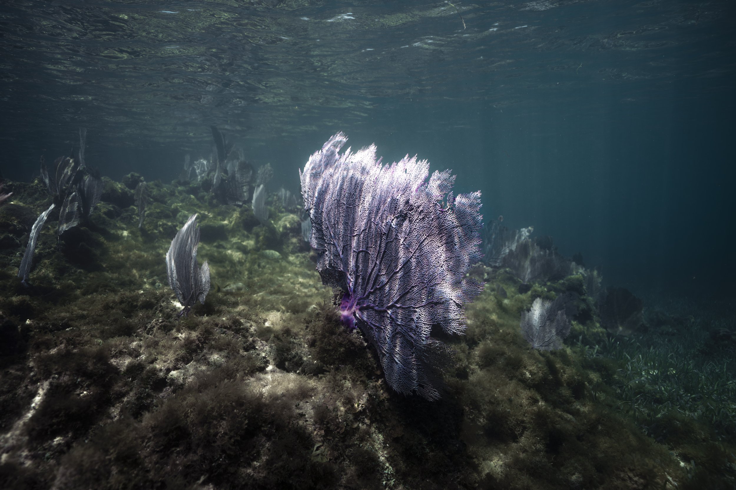 lake powell_ssmolla-30.jpg