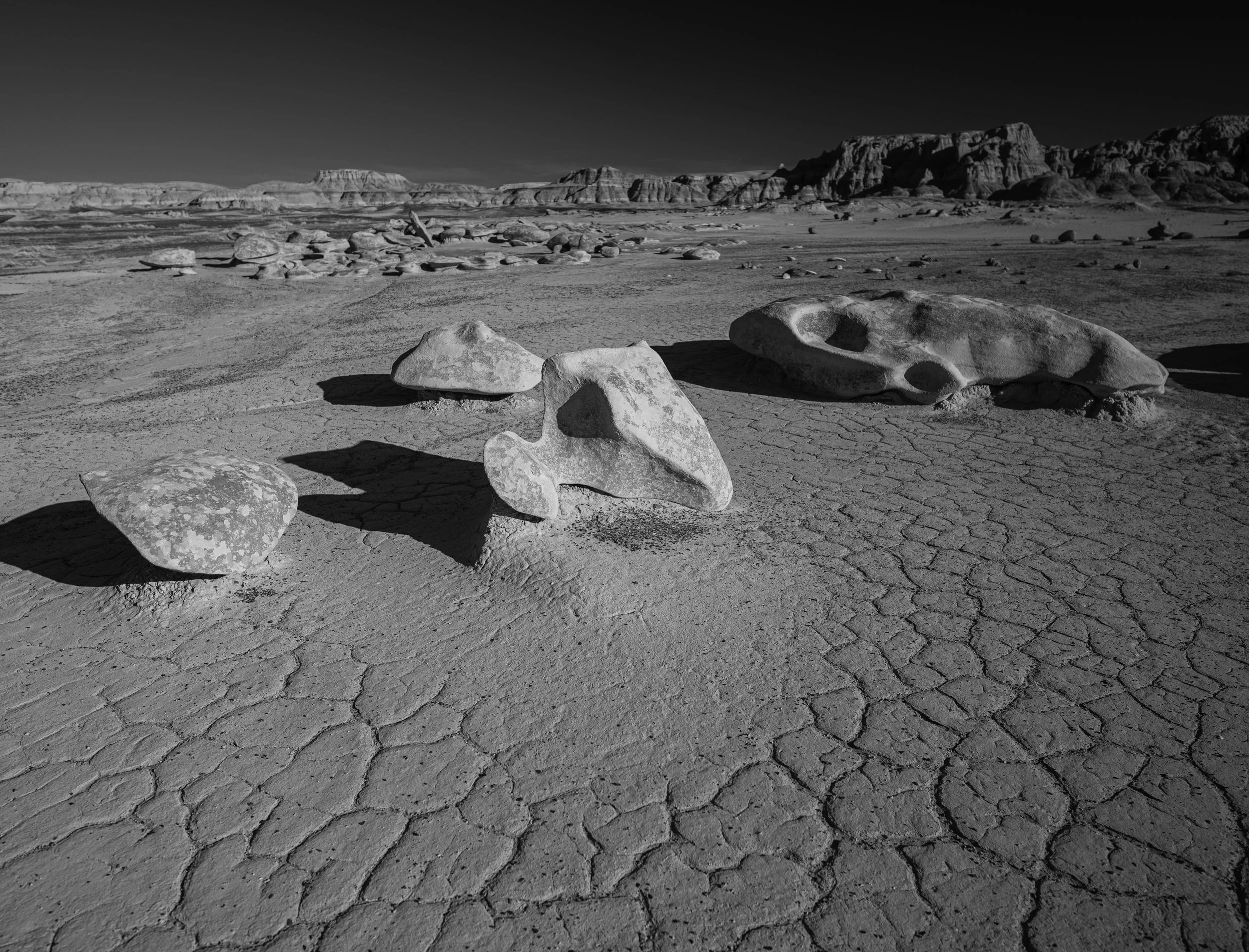 Bisti Badlands_ Sydney smolla.jpg
