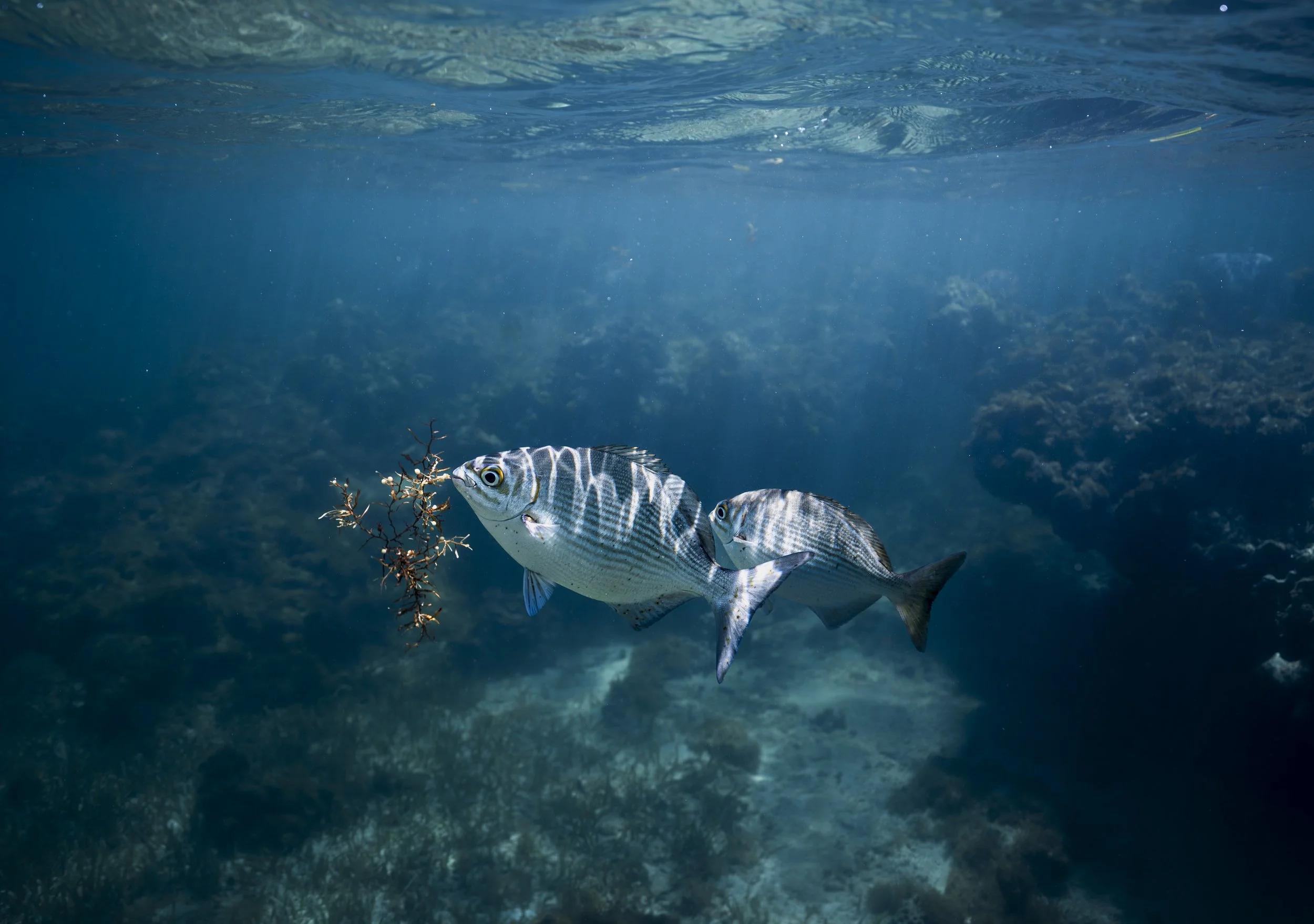 lake powell_ssmolla-36.jpg