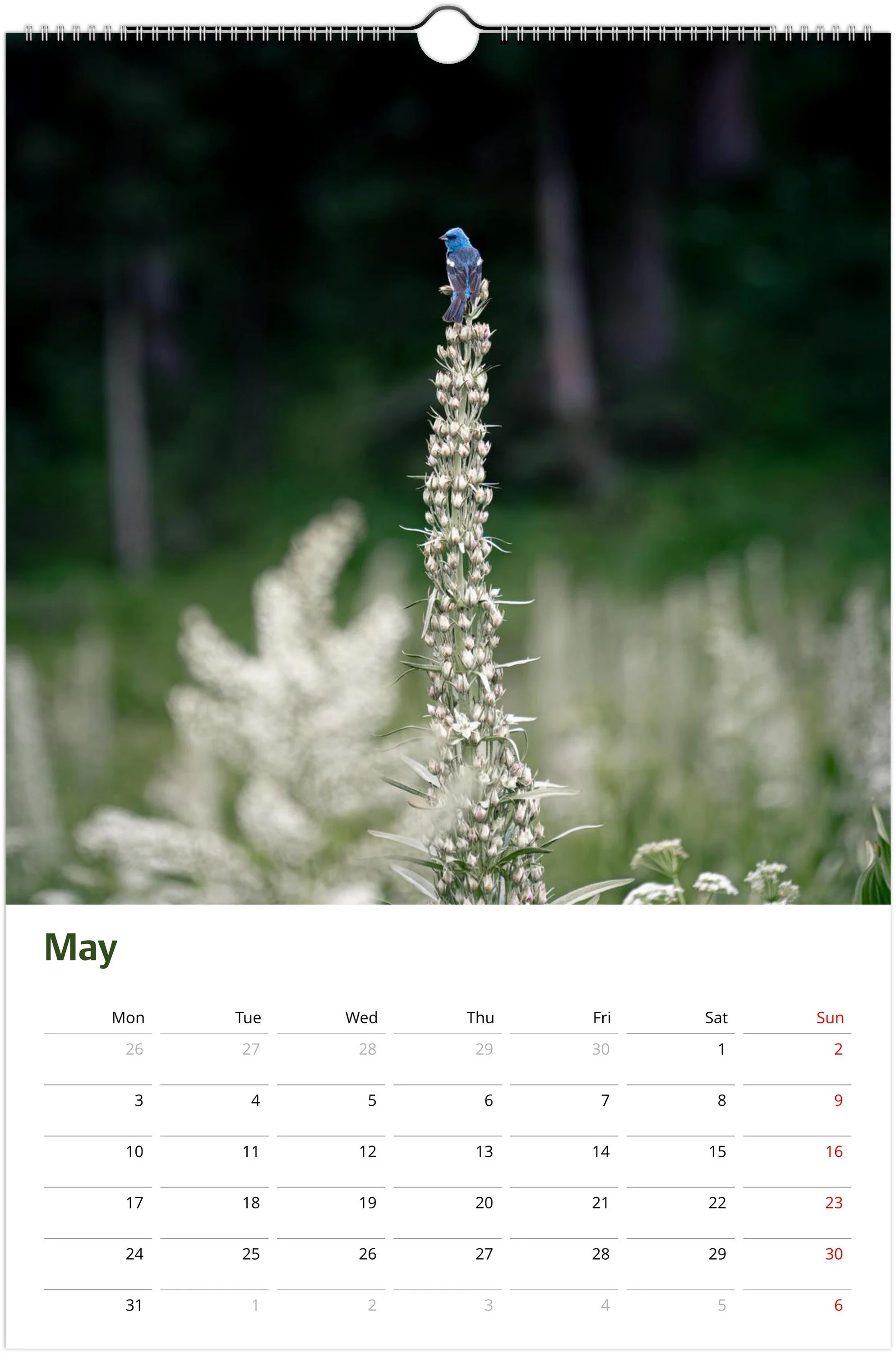 month-5.jpeg