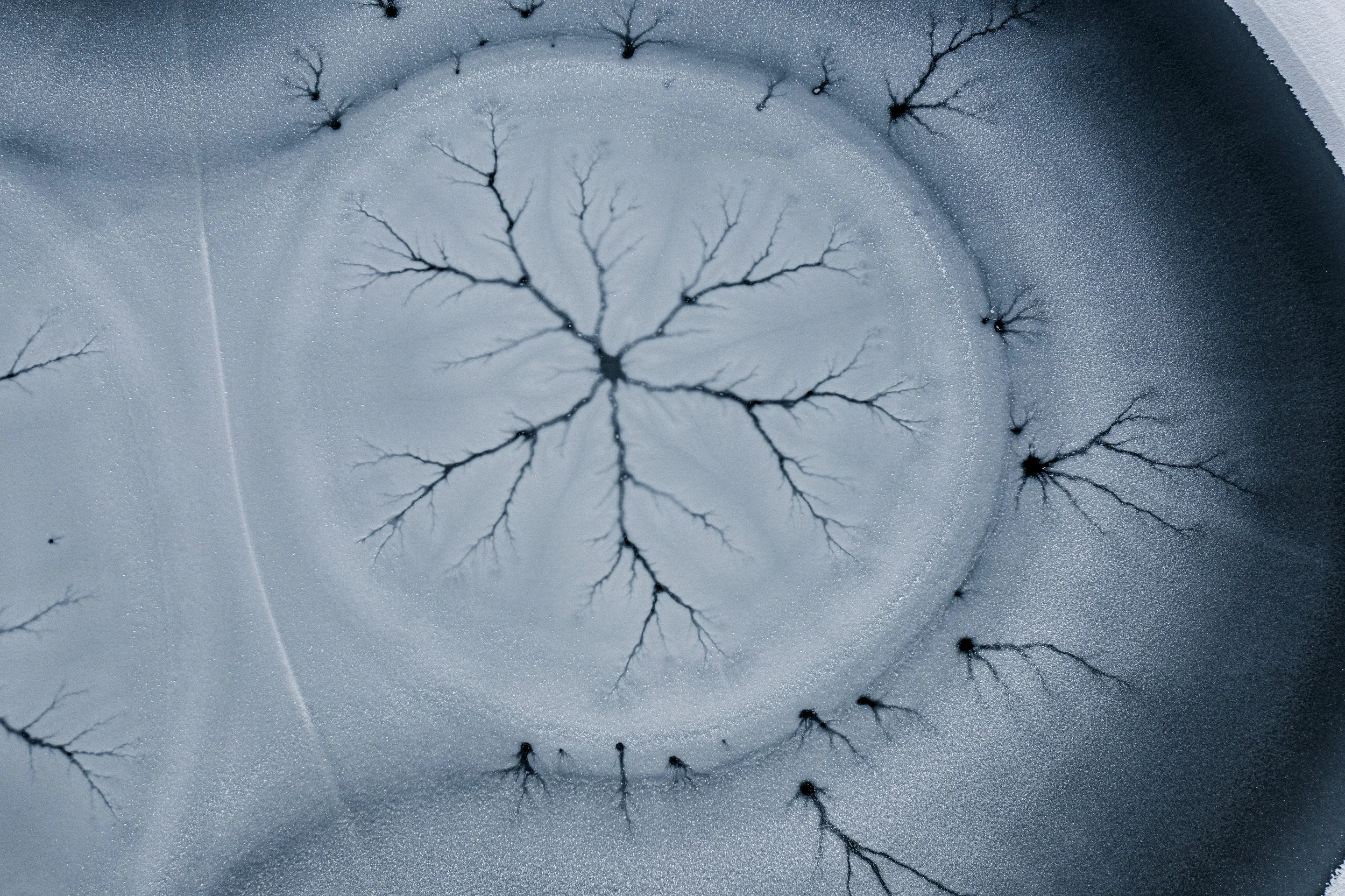 Sydney Smolla -8.jpg