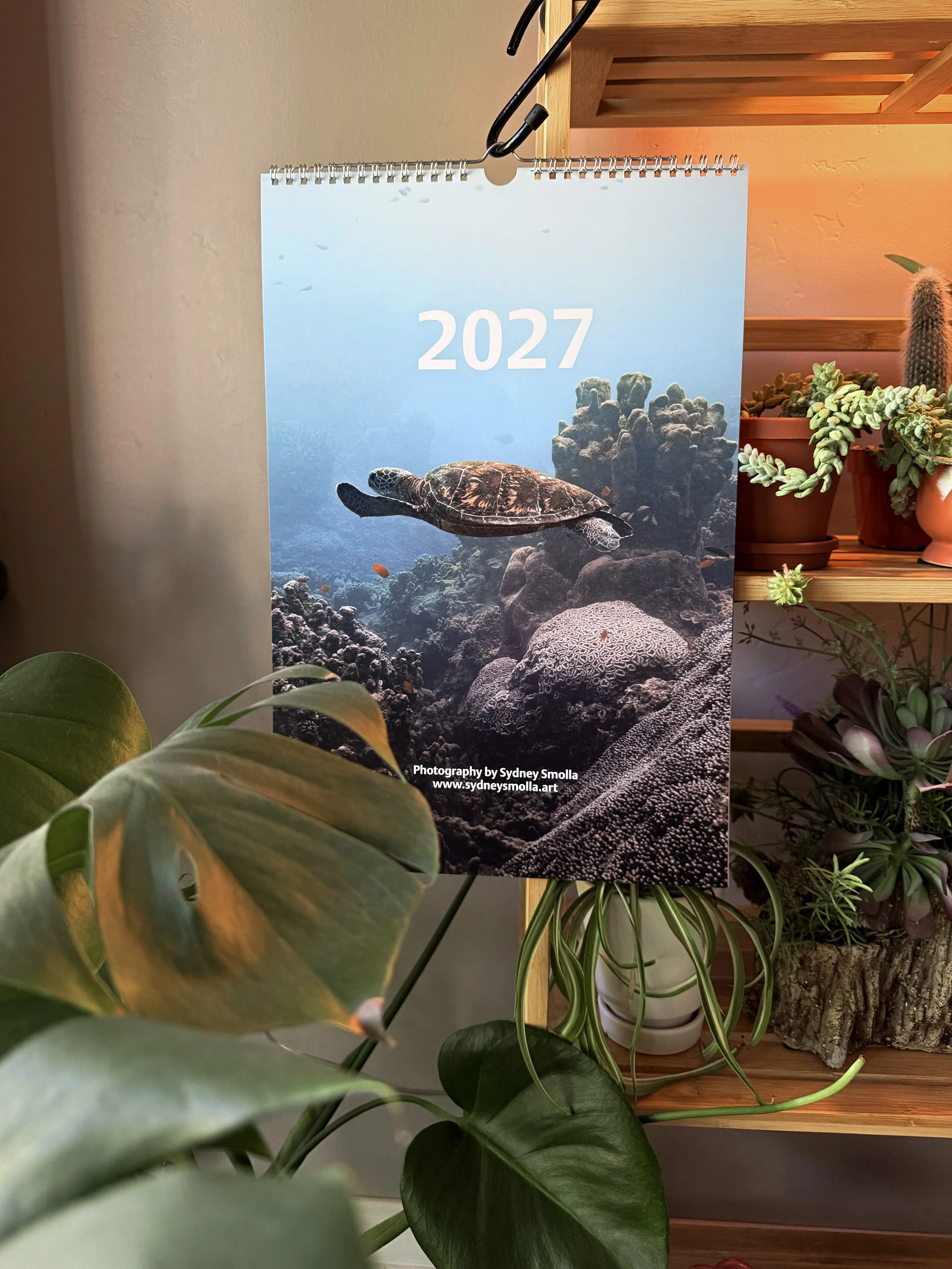 Calendar cover.jpg