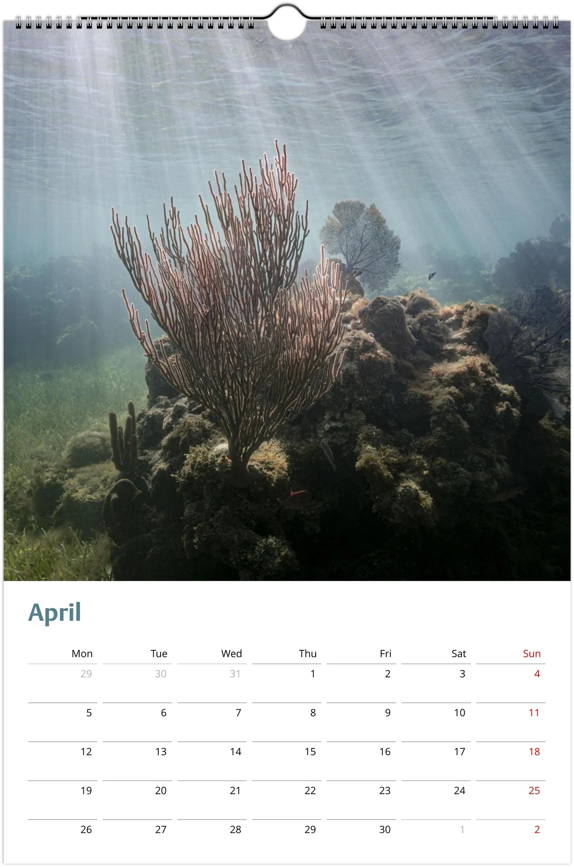 month-4.jpeg