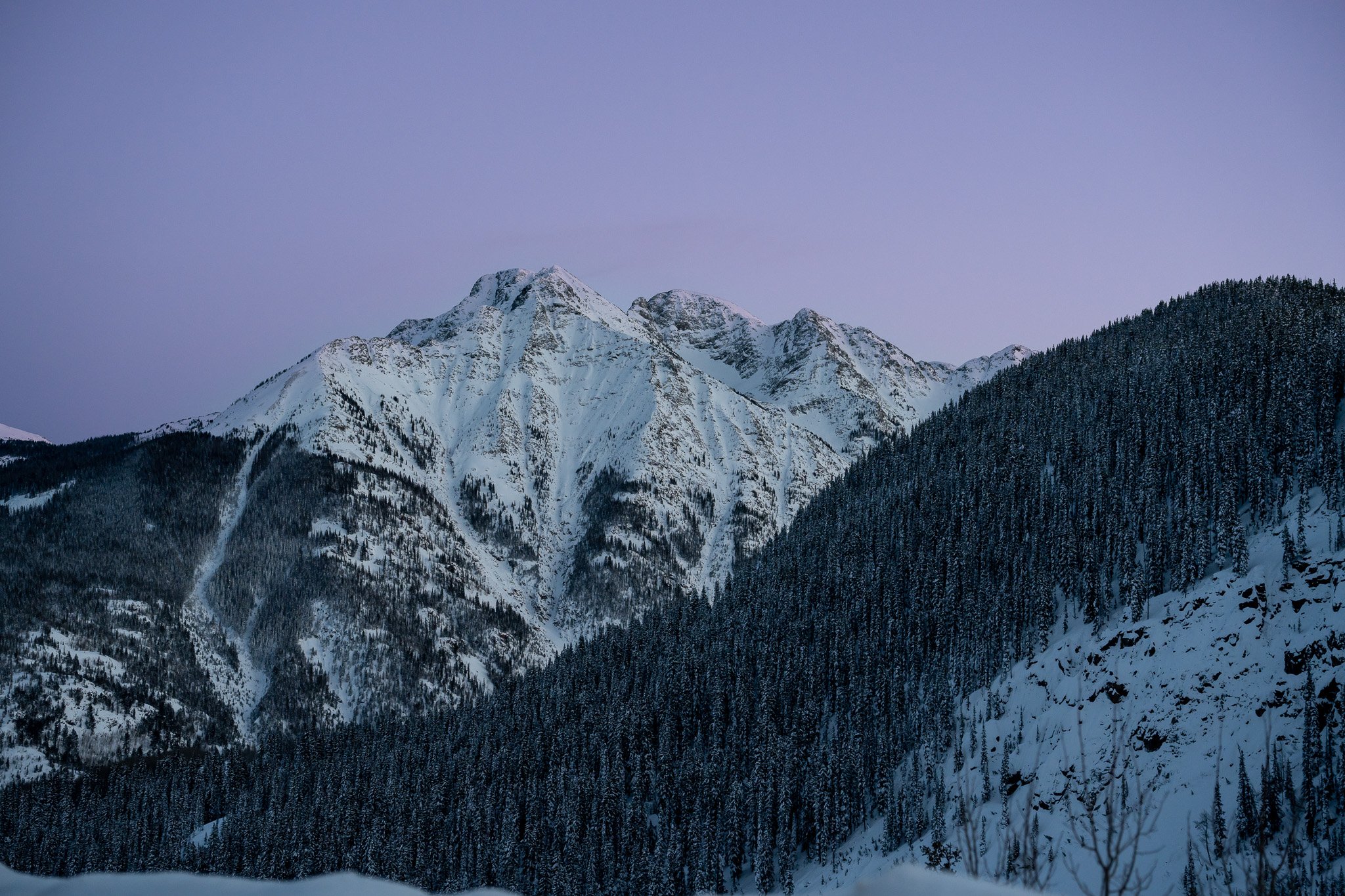 _DSC0001.jpg