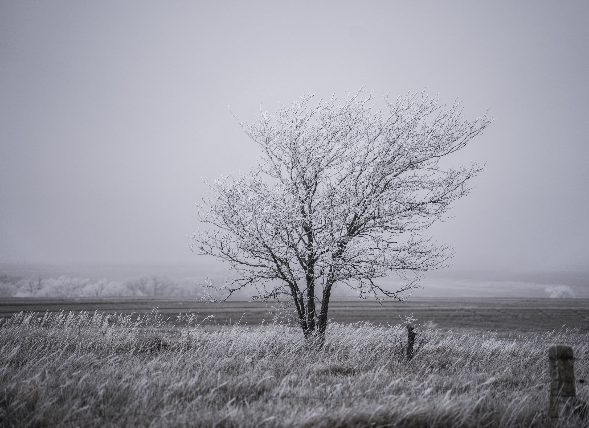 winter in Kansas.jpg