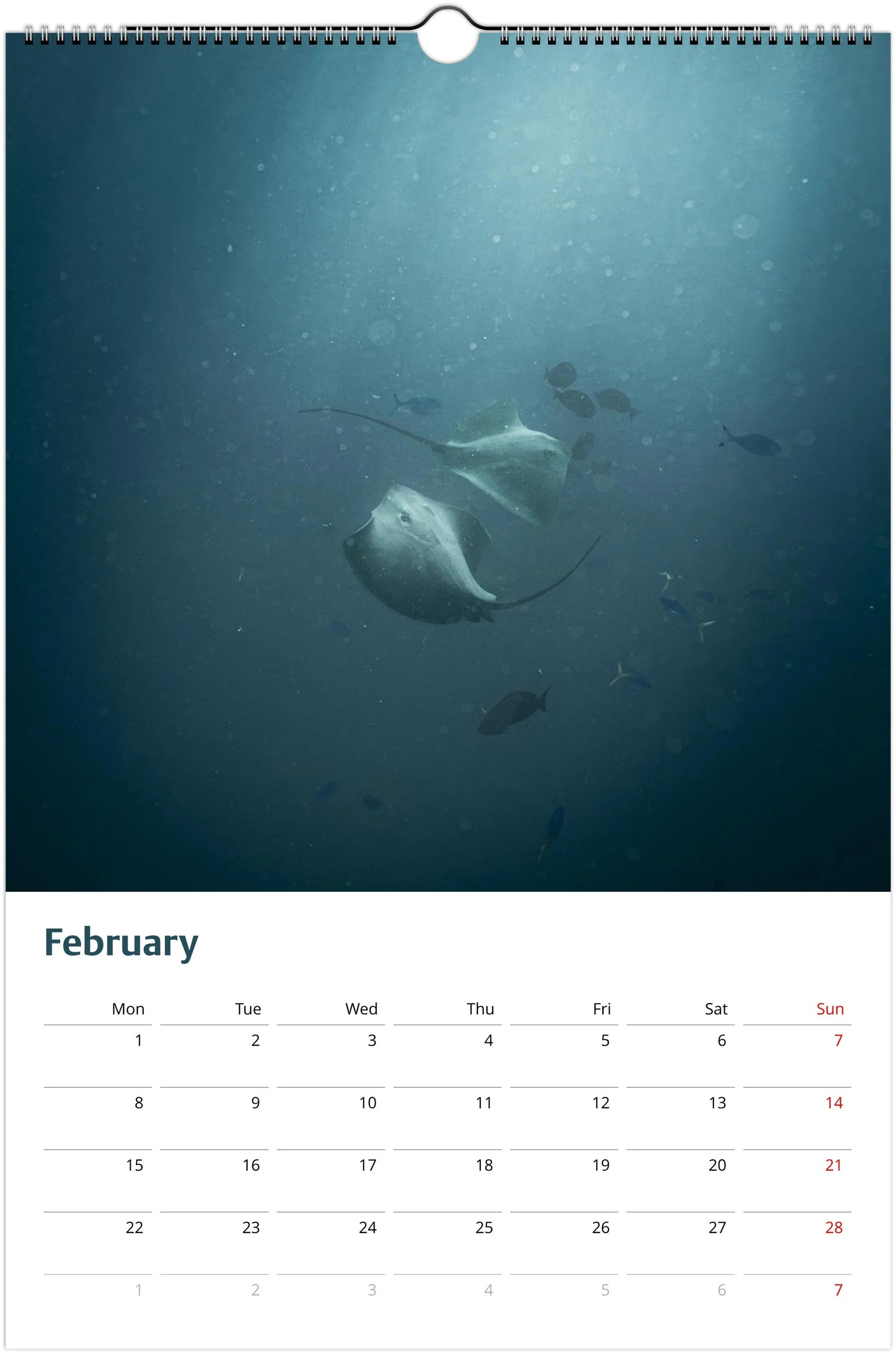 month-2.jpeg
