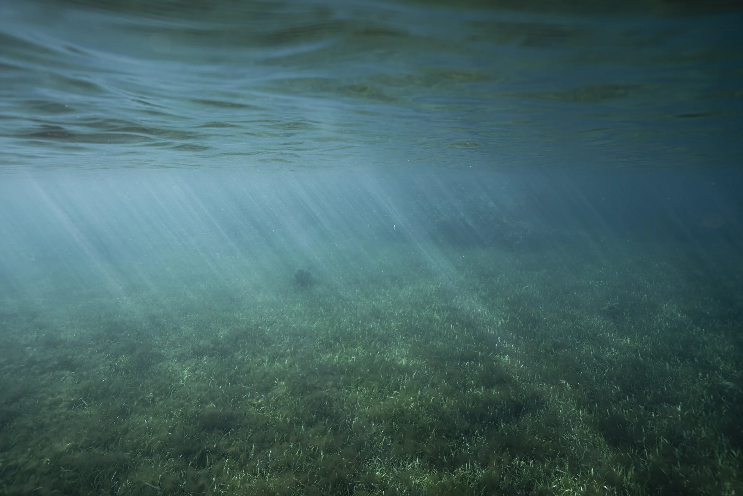 lake powell_ssmolla-10.jpg