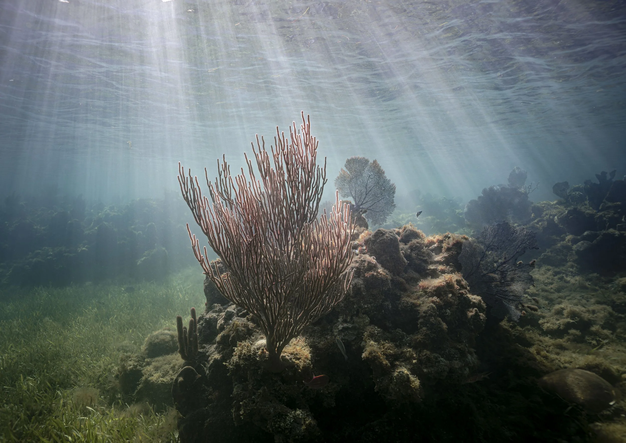 lake powell_ssmolla-22.jpg