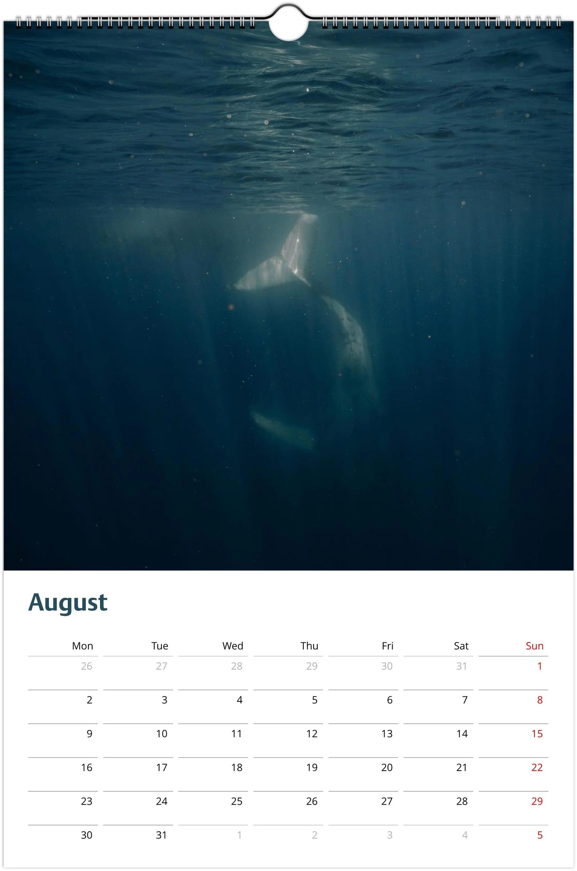 month-8.jpeg