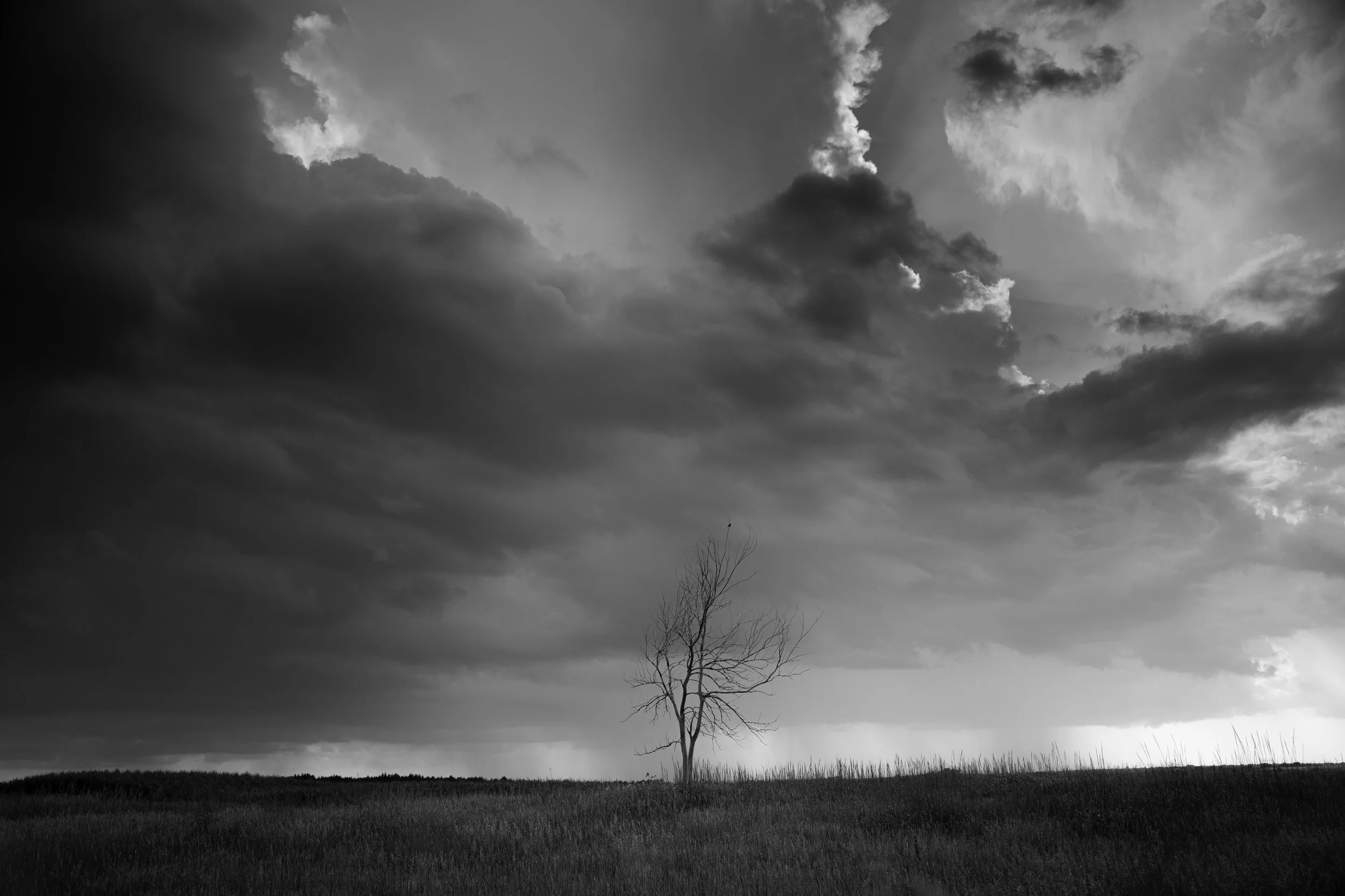 Lone tree.2 Nebraska.jpg