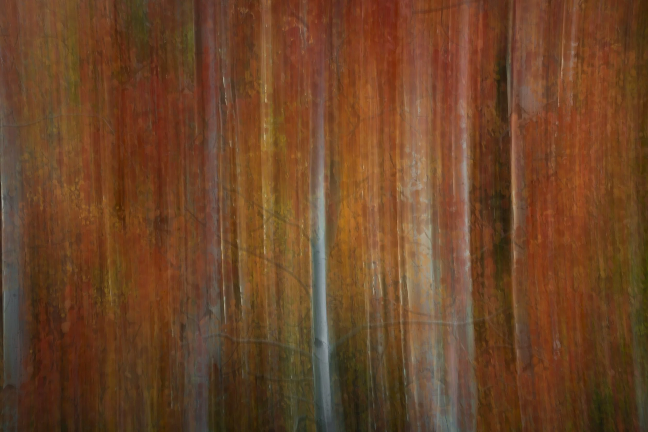 Dancing Aspen_Sydney Smolla 2025.jpg