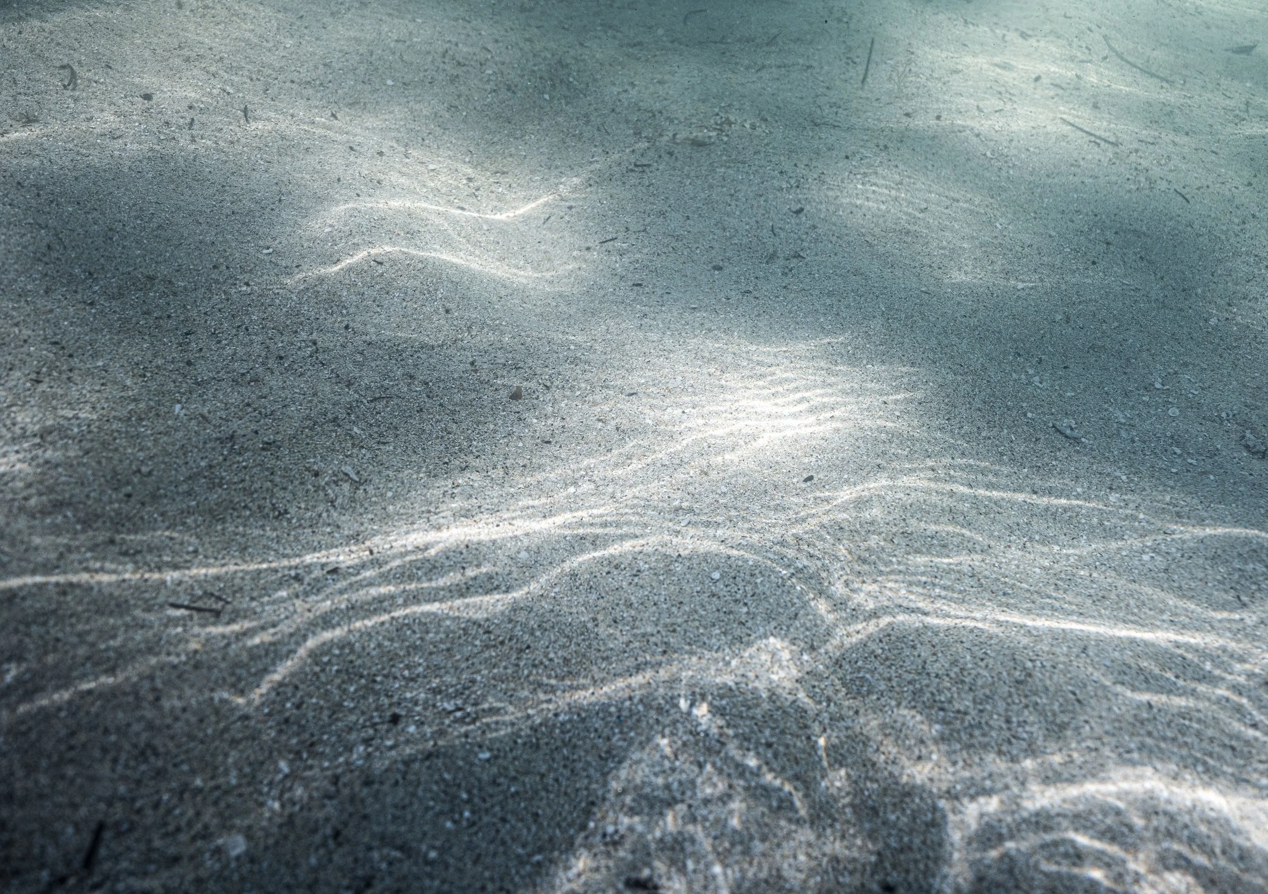 lake powell_ssmolla-6.jpg