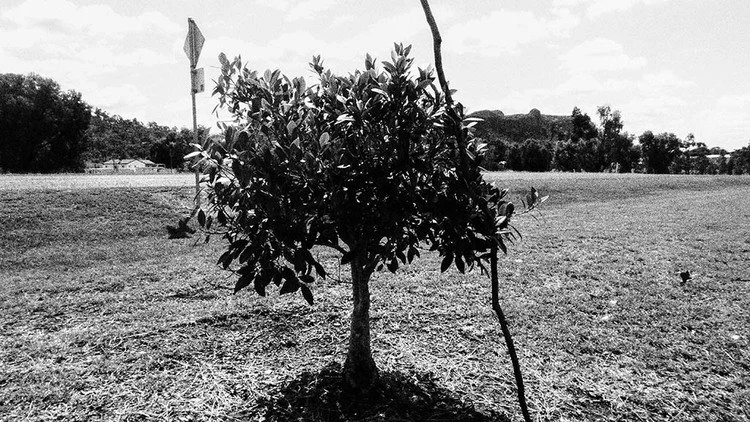 201507Sep_Springsure_State_School_Camera_H_0006.jpg