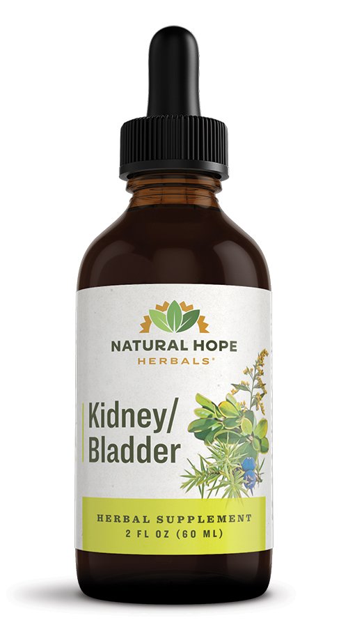 Kidney-Bladder.jpg