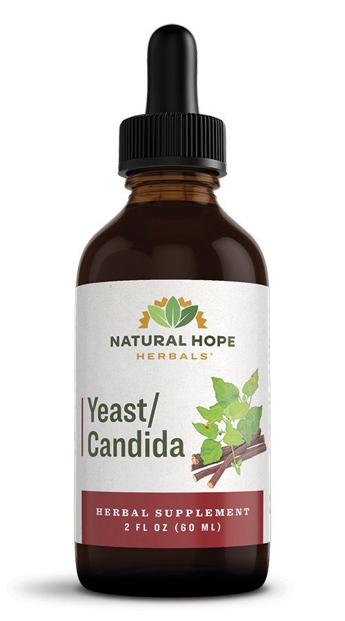 Yeast-Candida.jpg