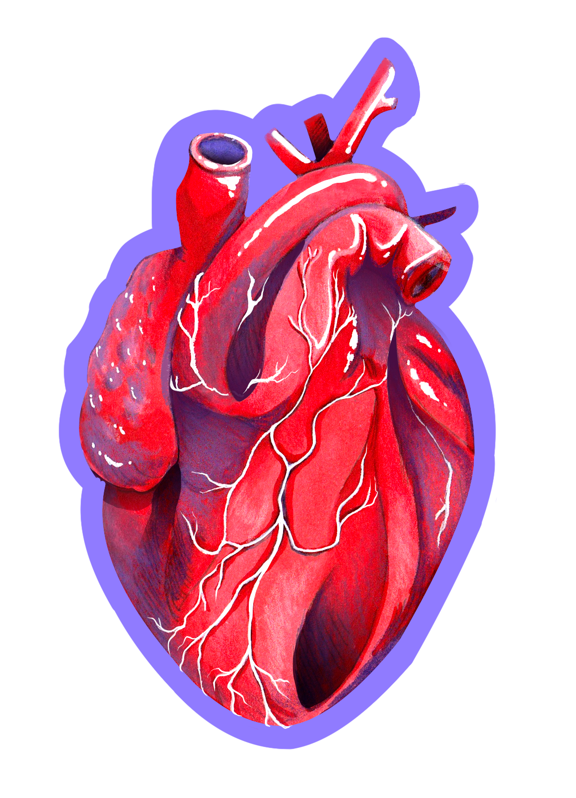 Anatomical Heart.png