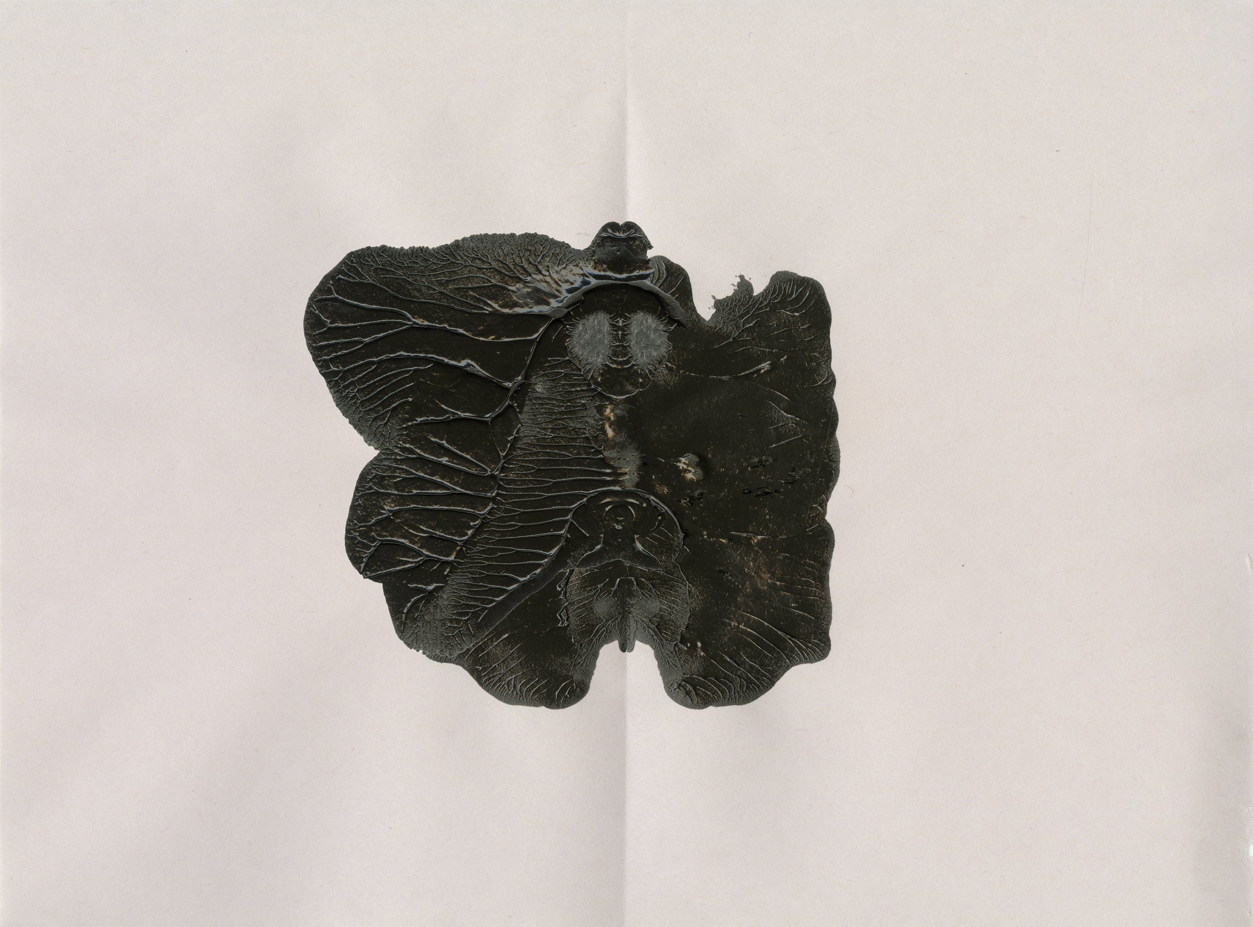 2-14-12024ee Printed file.jpg