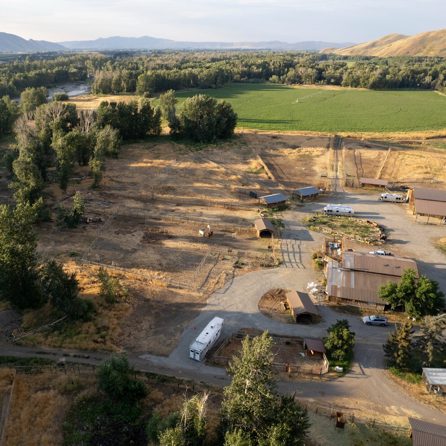 After a year and a half of reading, talking, learning, and soul-searching, we're officially tackling the conversion of a 76 acre horse ranch along the Big Wood River near Sun Valley, Idaho, into a regenerative farm. Thus far, this summer's activities