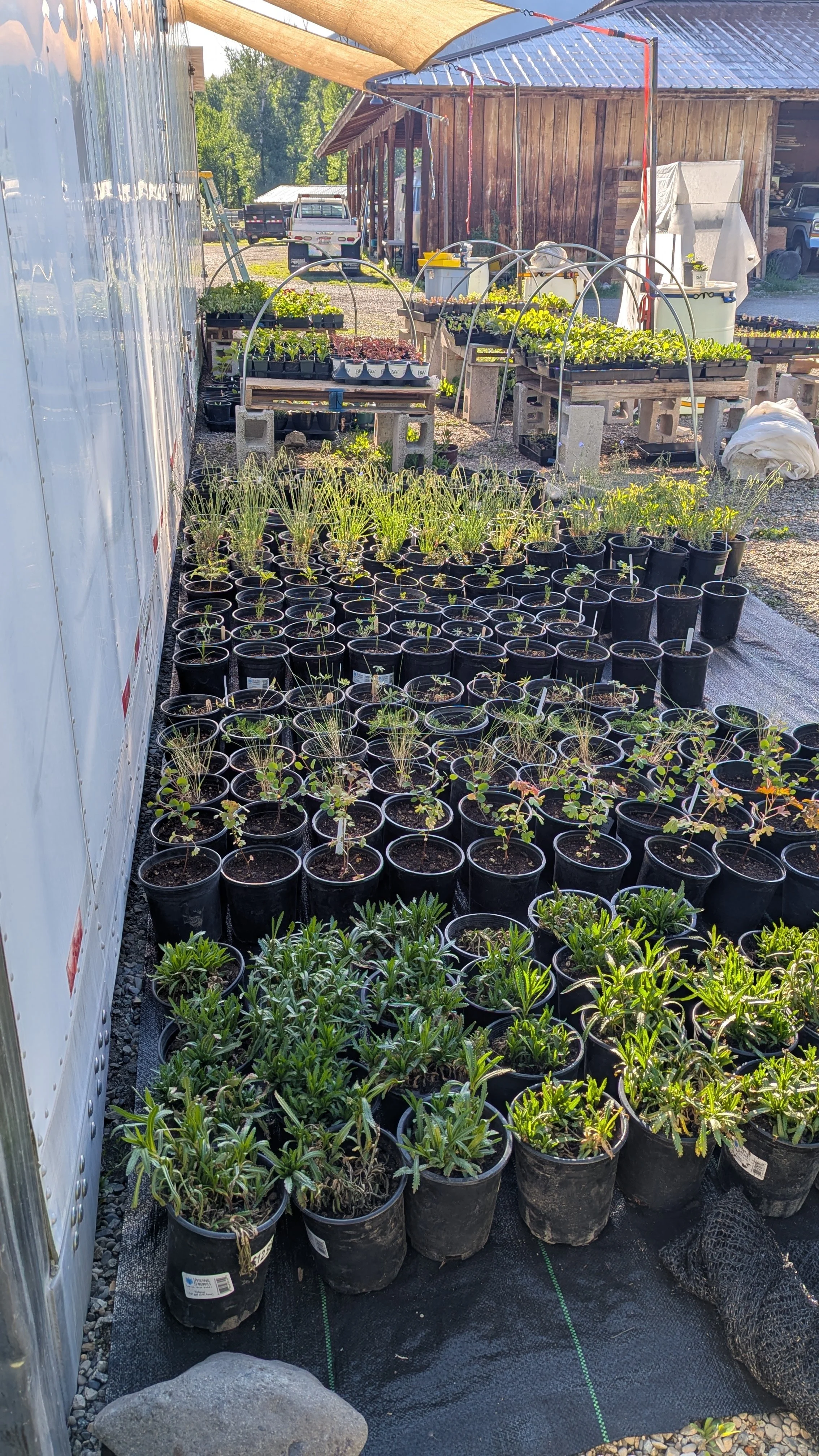 Plant Sale and Farm Tours