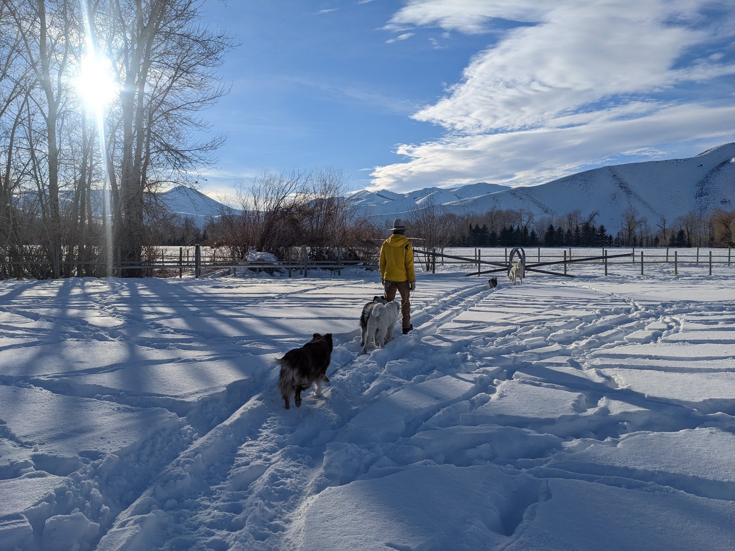 Kyle and dogs going for a snowshoe in the field