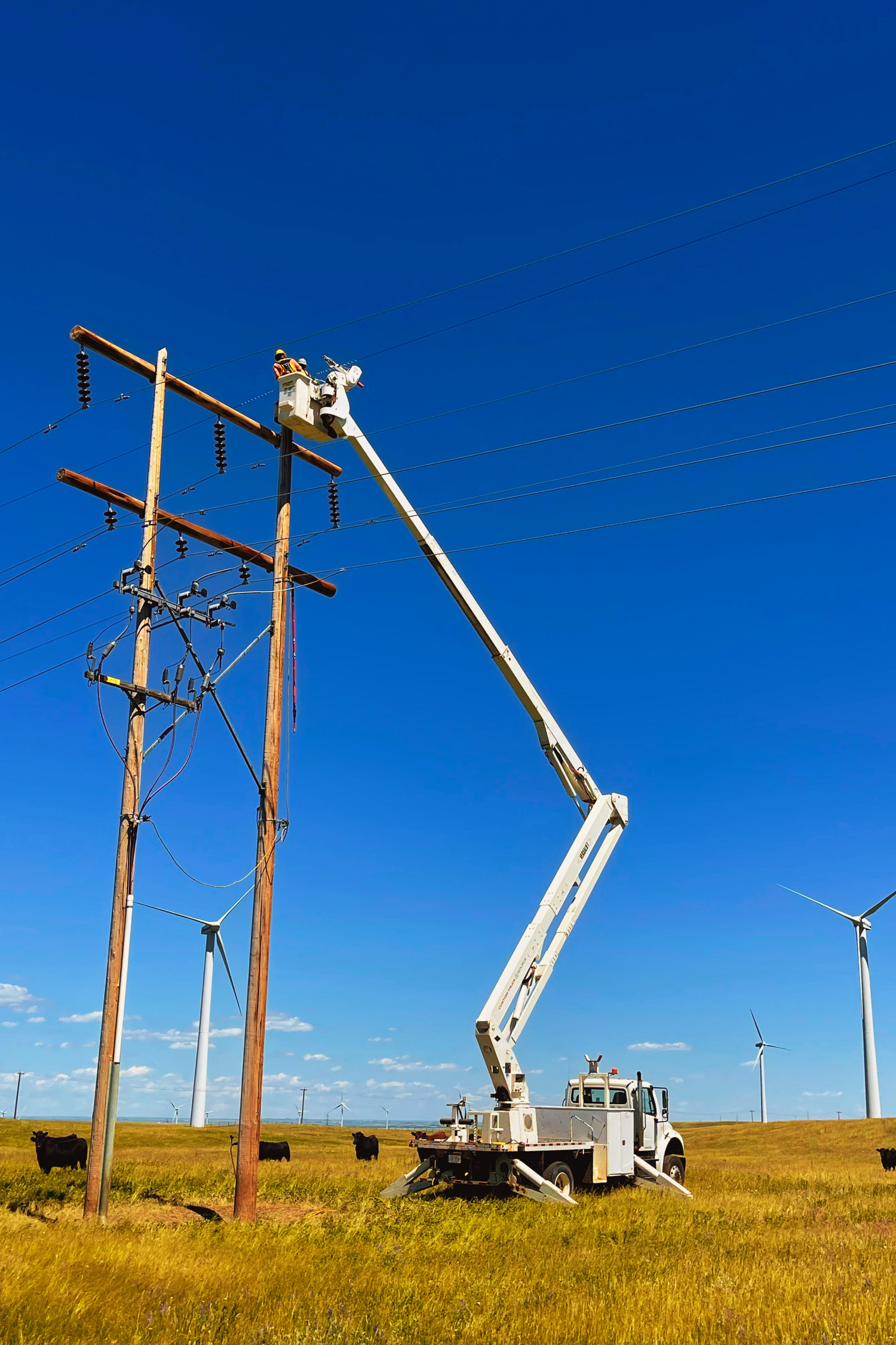 About Hardline Engineering — Hardline