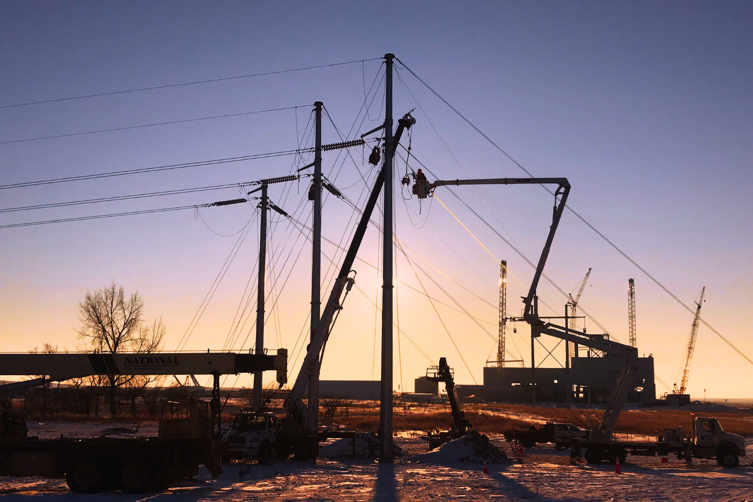 Distribution — Hardline