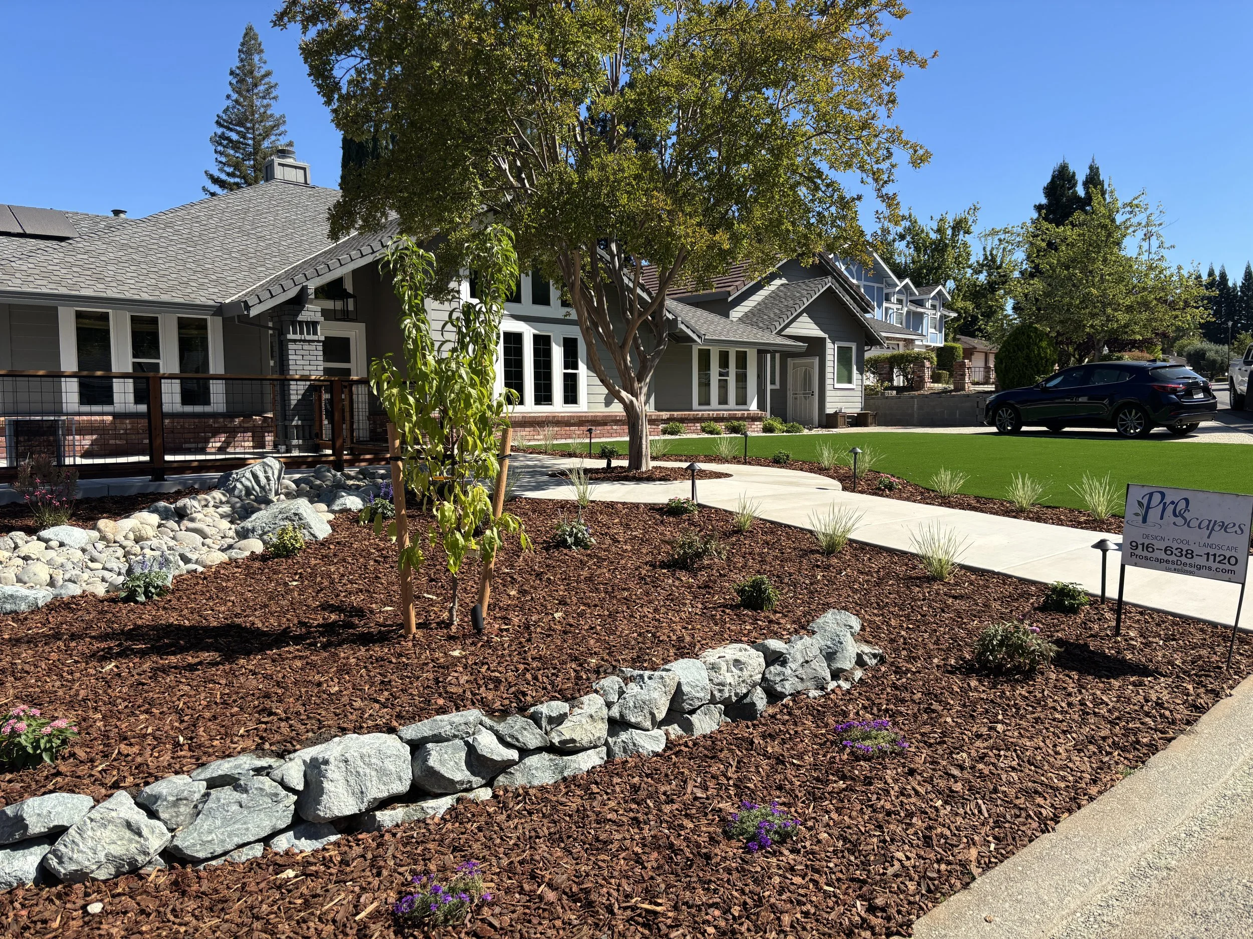 A landscaped front yard with a sidewalk, mulch, rocks, flowering plants, and a large tree in front of a modern gray house with multiple windows, a small porch, and a lawn. A black car is parked on the street.
