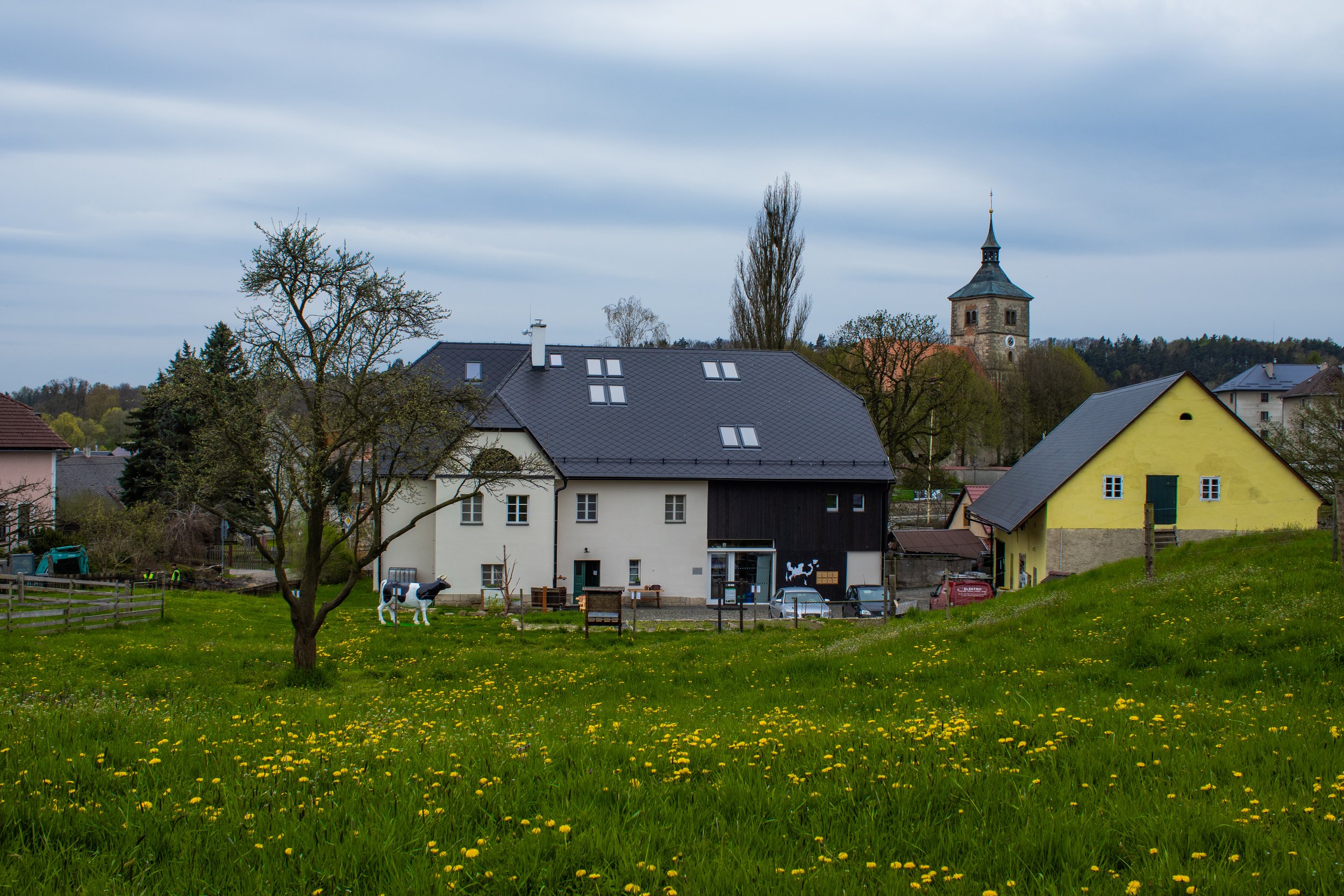 A rural scene with a grassy field dotted with yellow flowers in the foreground, a large tree, and buildings in the background including a barn painted white and black, a yellow house, and a church with a steeple. There are cars parked near the buildi