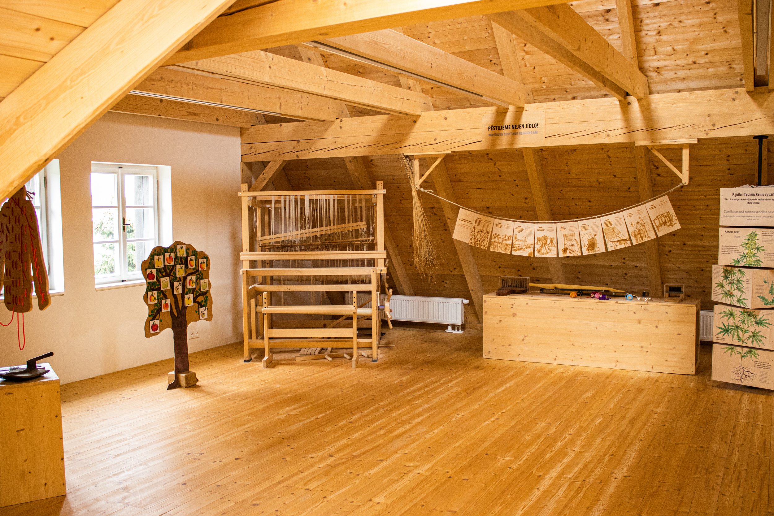 Empty wooden room with play area, colorful artwork tree, harness, and educational posters on the wall.