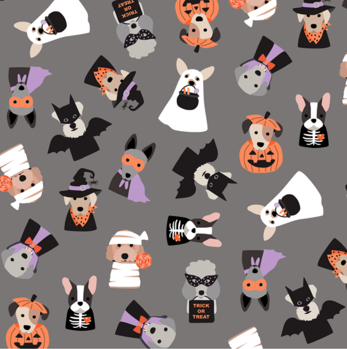 Costume Party Grey.Hawthorne.png