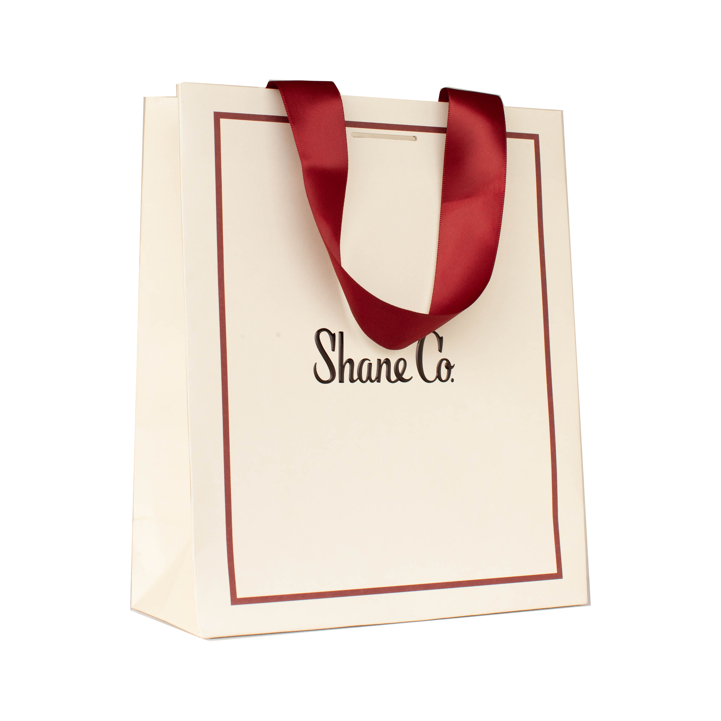 Luxury Shopping Bag 