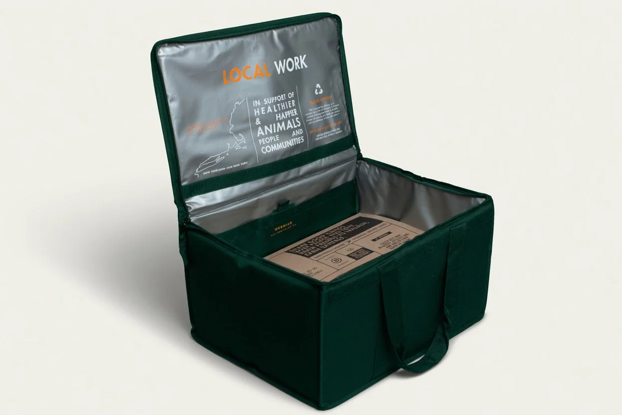 collapsible insulated tote