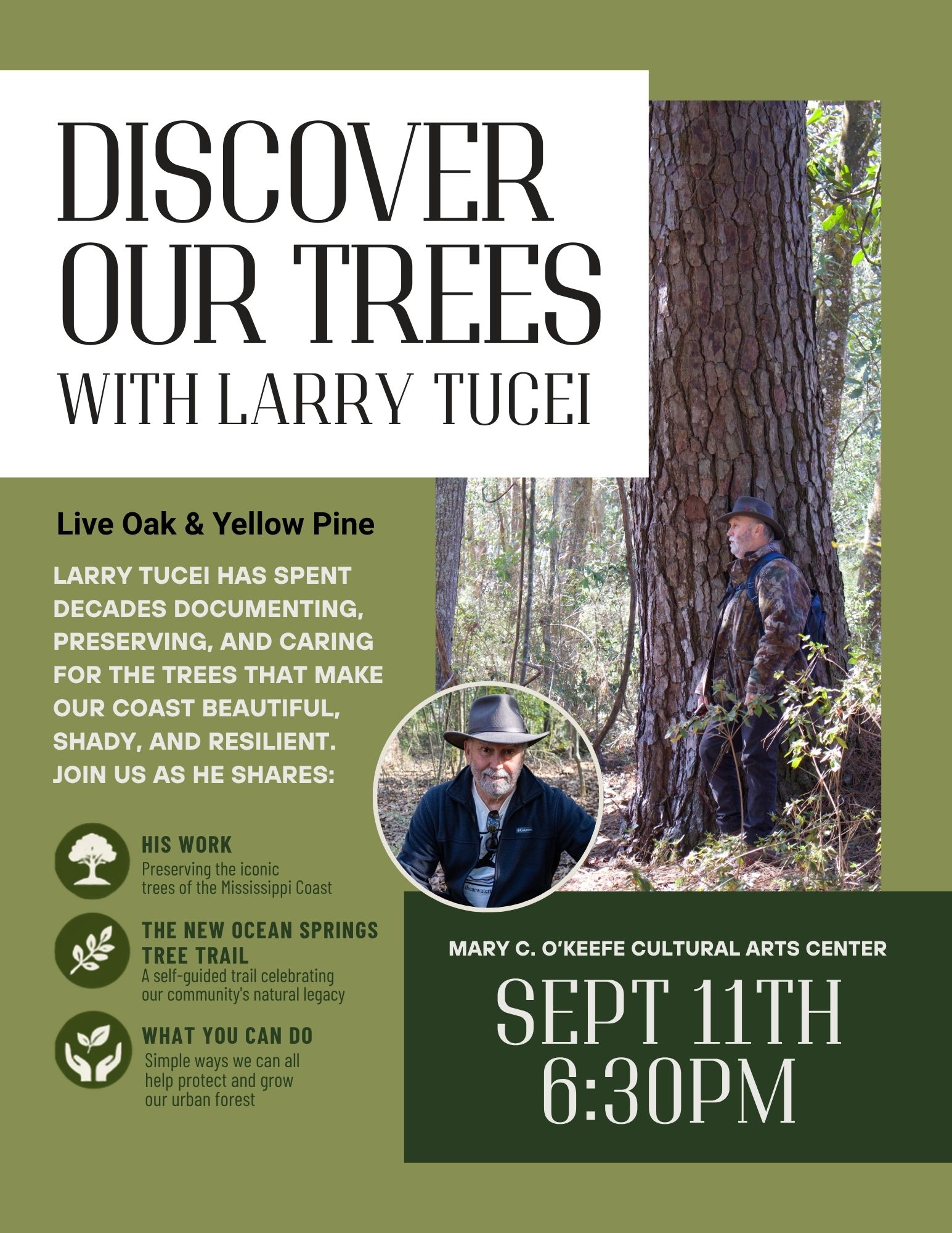 Discover our Trees