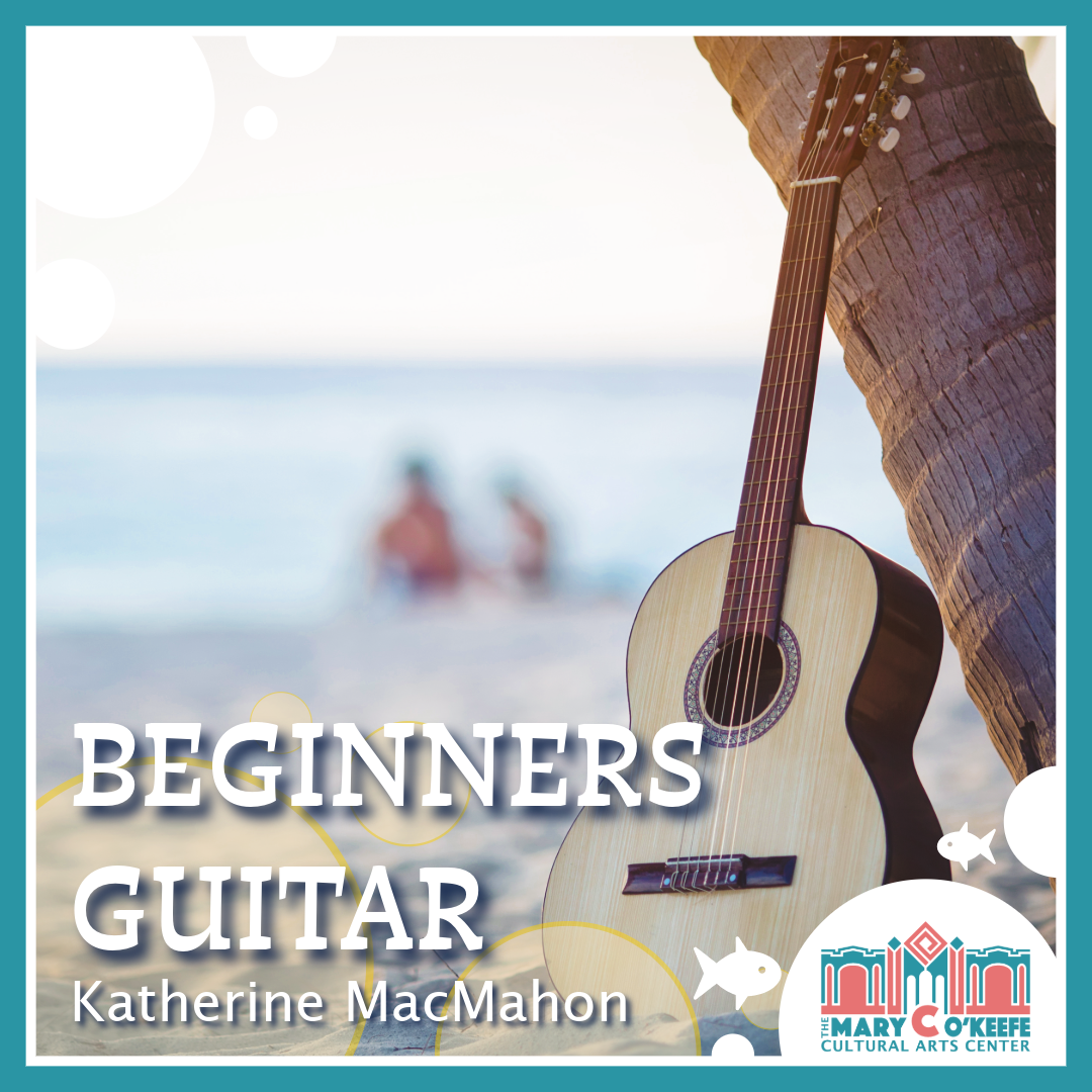 Beginner Guitar Course